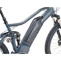Prophete E-Bike »Graveler 22.ETM.20«, 10 Gang, Shimano, Deore XT, Mittelmotor 250 W