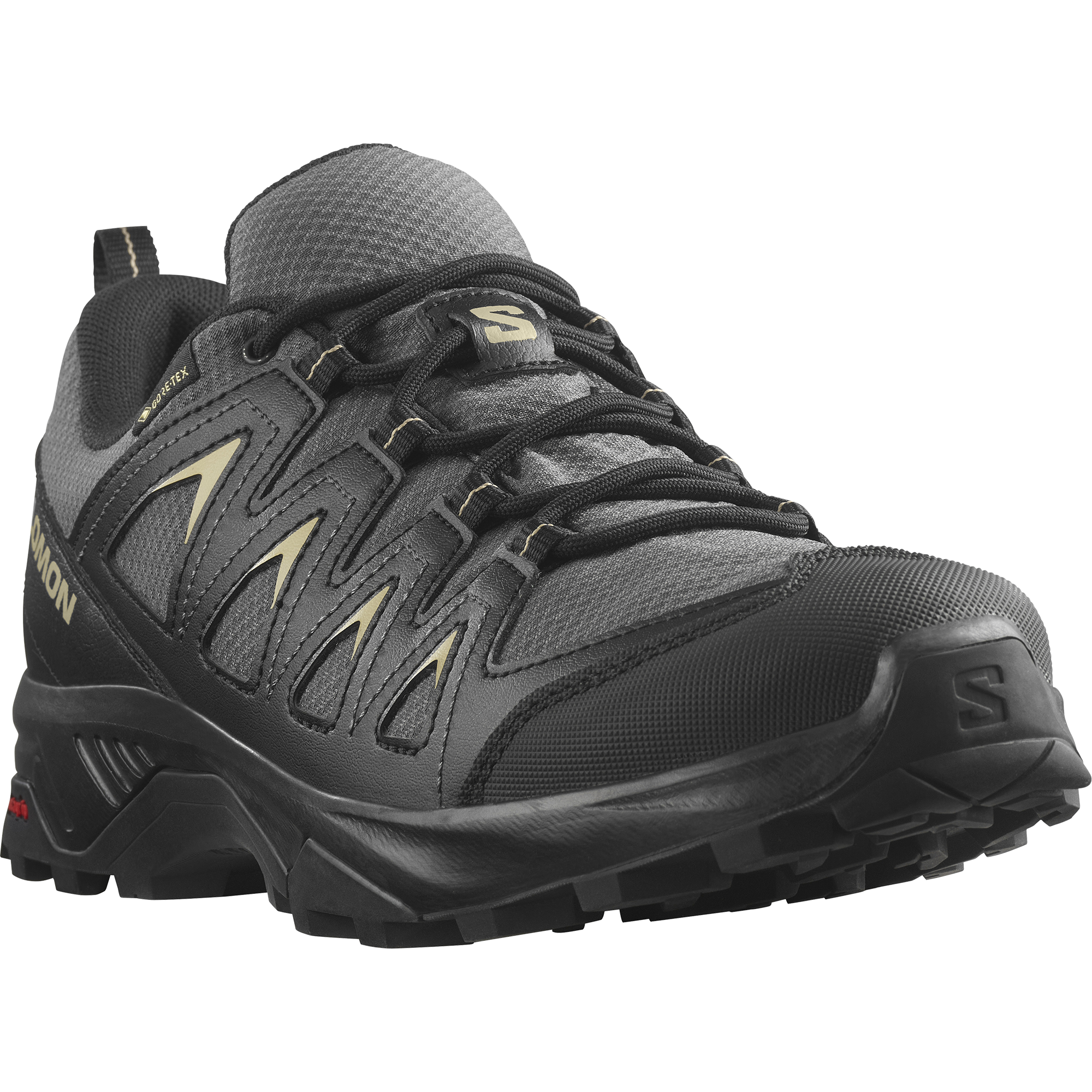 Salomon Wanderschuh "X BRAZE GORE-TEX", wasserdicht