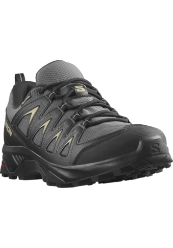 Salomon Turistiniai batai »X BRAZE GORE-TEX« w...