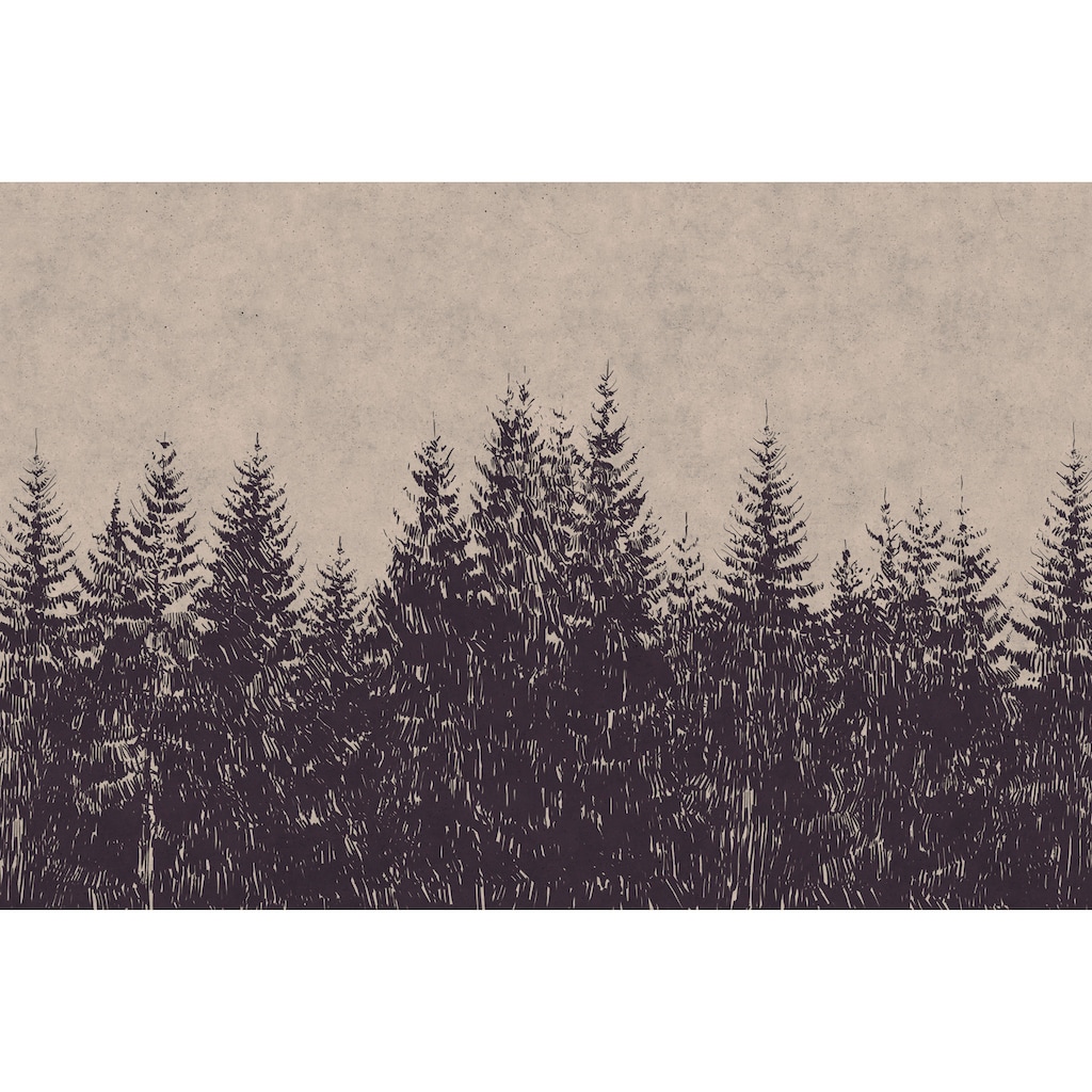 A.S. Création Leinwandbild »black forest«, Wald, (1 St.)