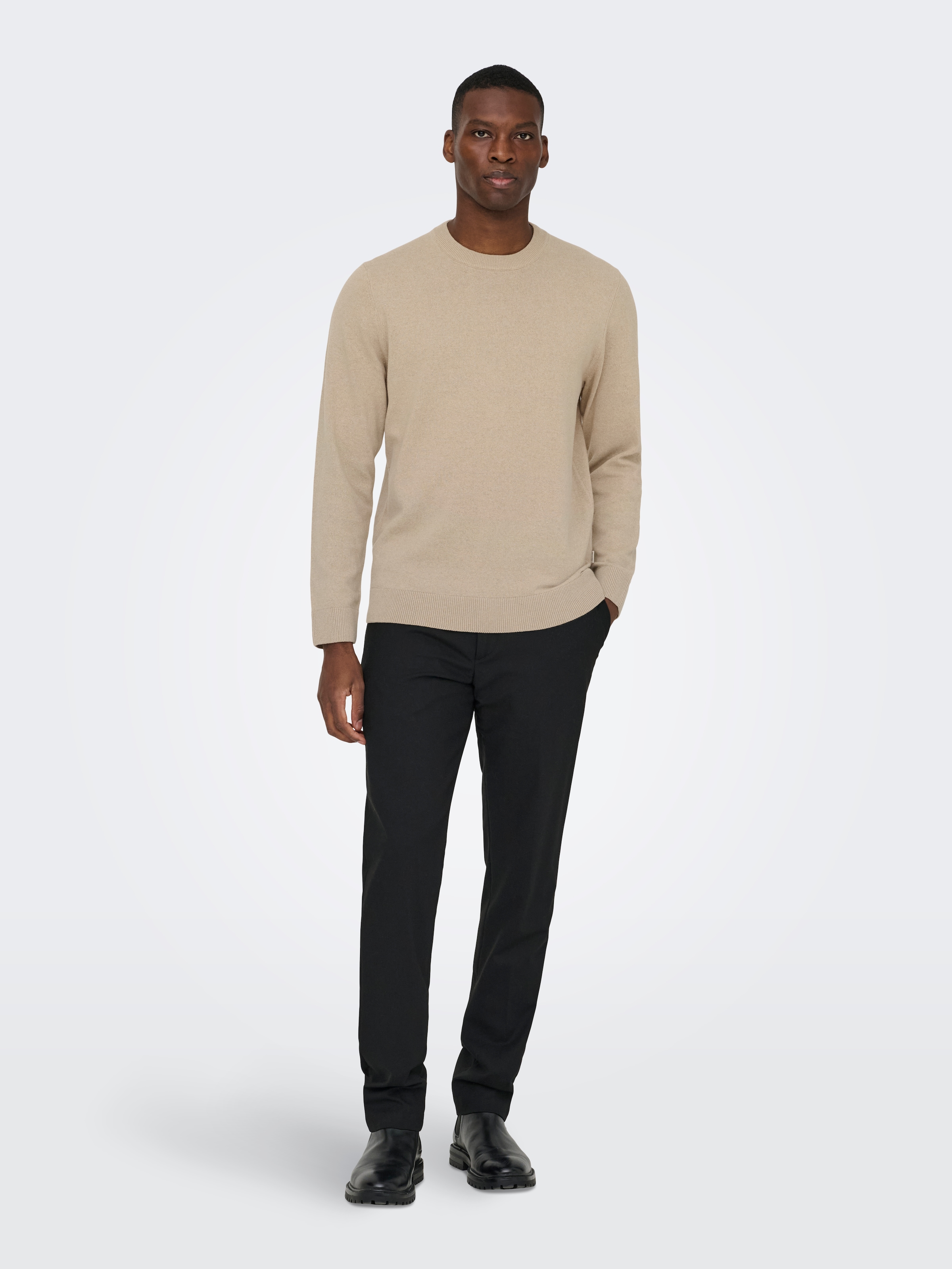 ONLY & SONS Rundhalspullover »ONSREX LIFE REG 12 CREW KNIT«