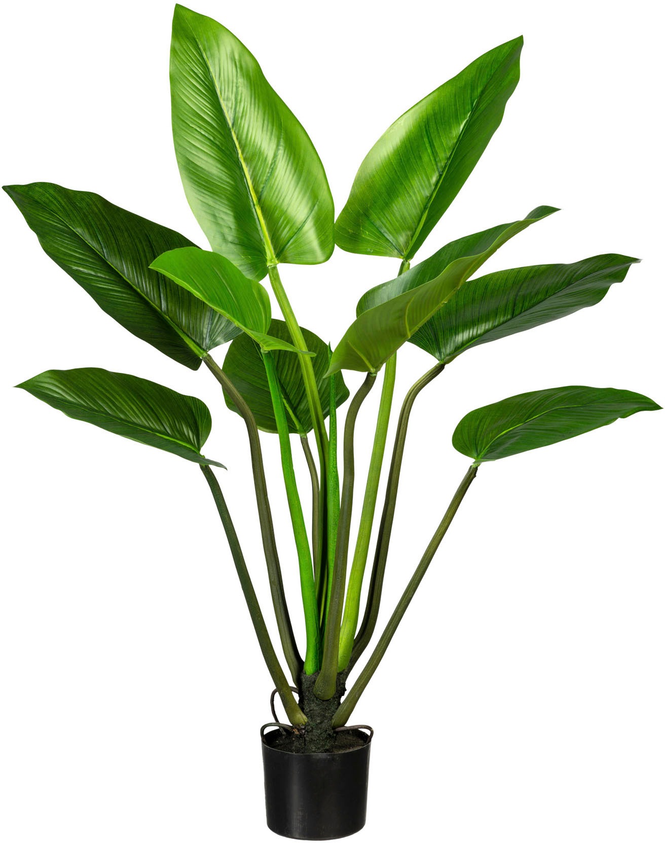 Creativ green Künstliche Zimmerpflanze »Philodendron«, (1 St.) kaufen
