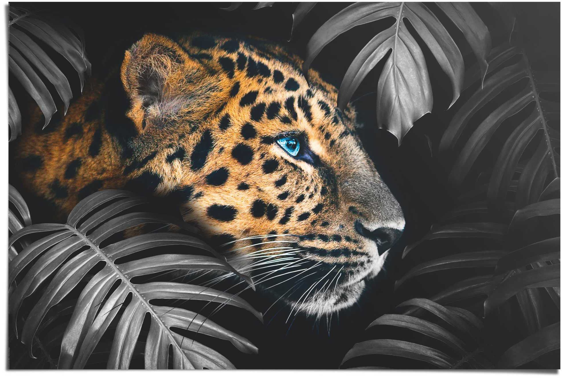 Reinders Poster "Leopard Jungle - Eyecatcher - Tiermotiv - Modern" 1 Stk. t günstig online kaufen