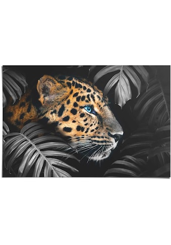 Poster »Leopard Jungle - Eyecatcher - Tiermotiv - Modern«, (1 St.)