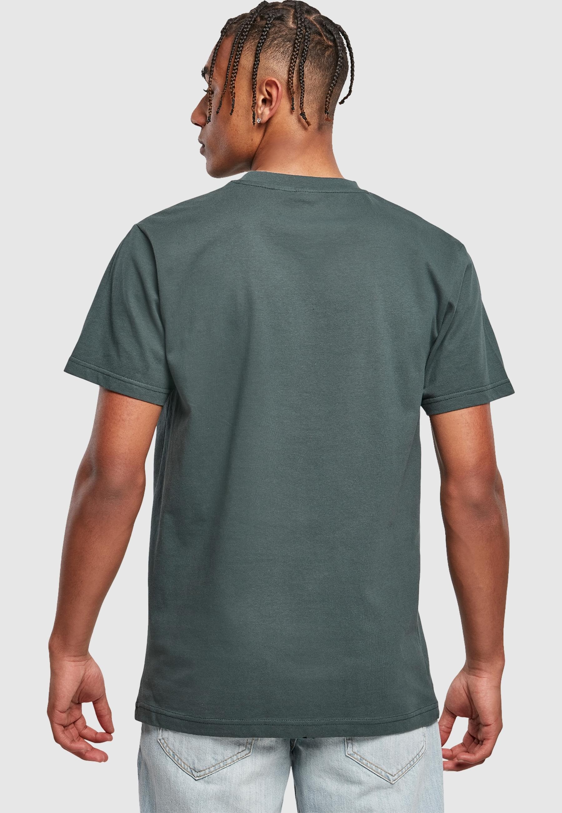 MisterTee T-Shirt »MisterTee Niagara Falls Tee«, (1 tlg.)