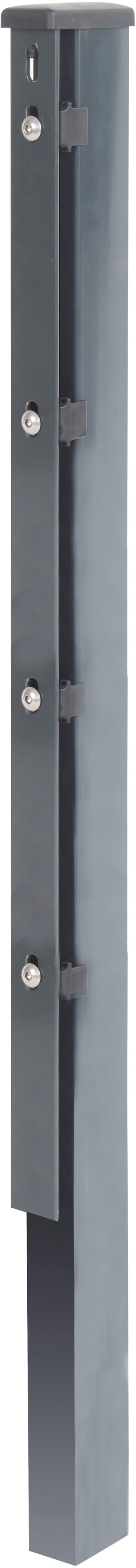 Alberts 60x40 mm für Doppelstabmattenzaun, 175 cm, mit Flacheisen