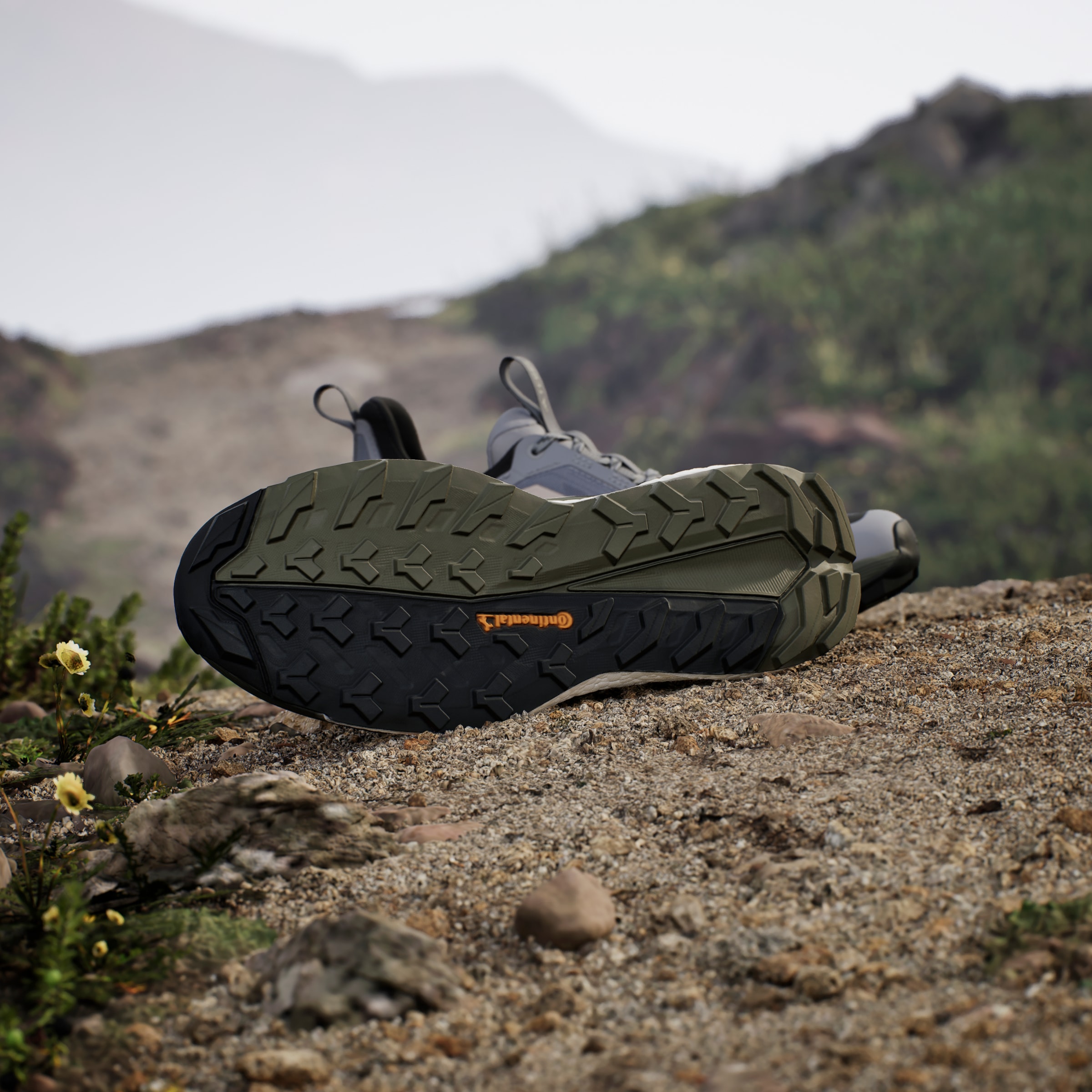 adidas TERREX Wanderschuh »TERREX FREE HIKER 2.0 LOW«