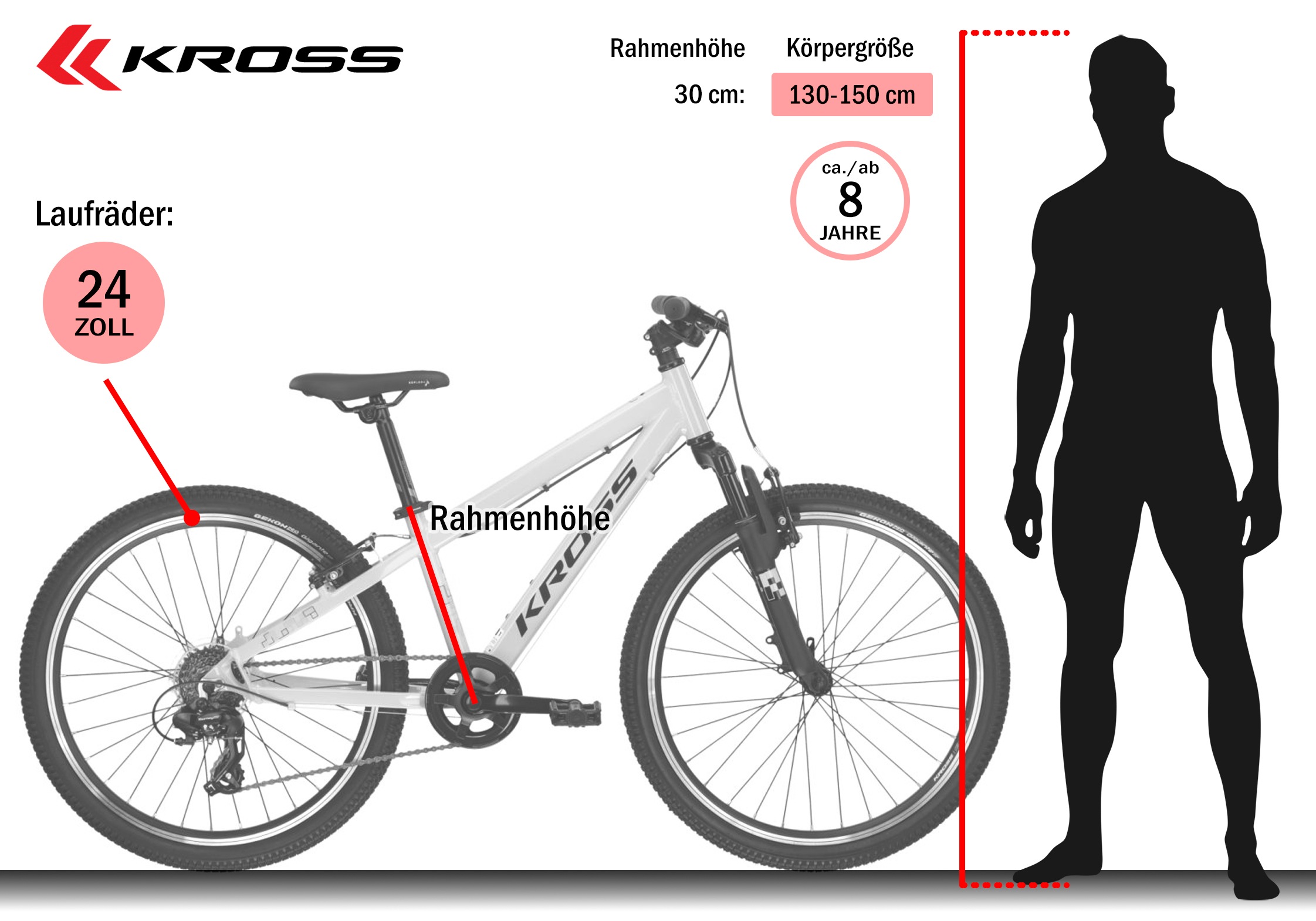 Kross Kinderfahrrad »KROSS Kinderad 24" Dust JR 1.0 Grau 8 Gänge« 8 Gang Shimano TOURNEY TX800 Schaltwerk Kettenschaltung