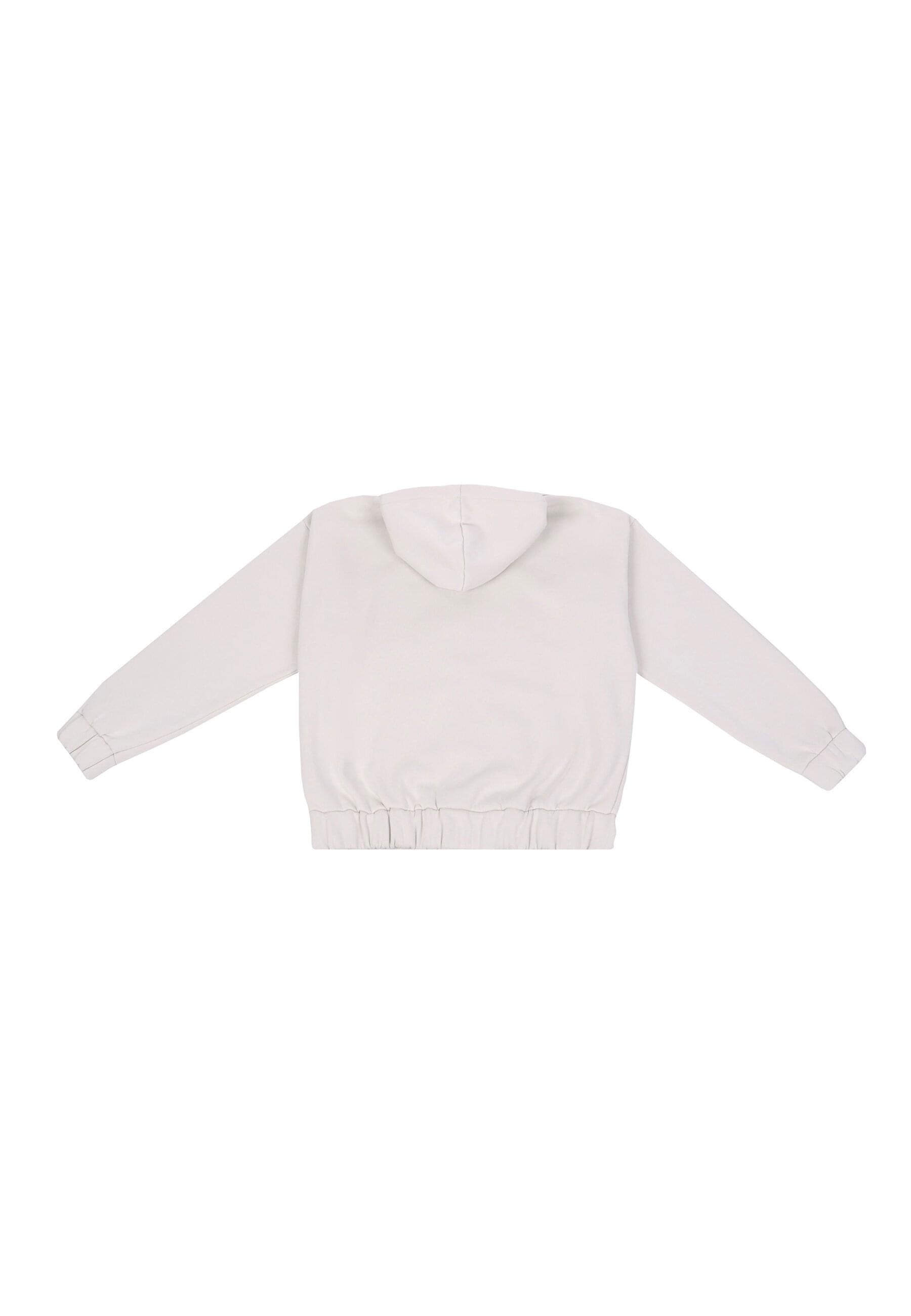 Dropsize Sweatjacke "Dropsize HEAVY OVERSIZE EMBO ZIPPER HOODIE" günstig online kaufen