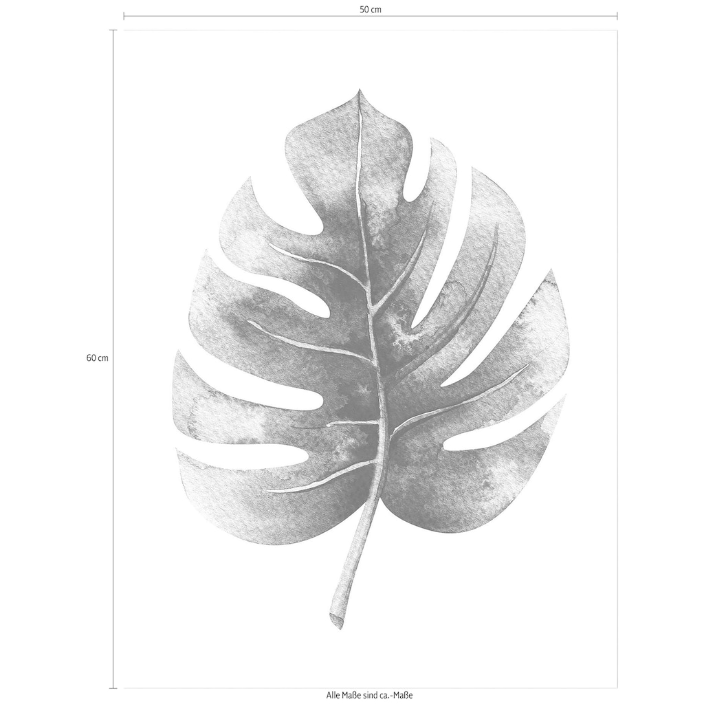 Wall-Art Poster »Kvilis Dschungel Monstera Pflanze«, Schriftzug