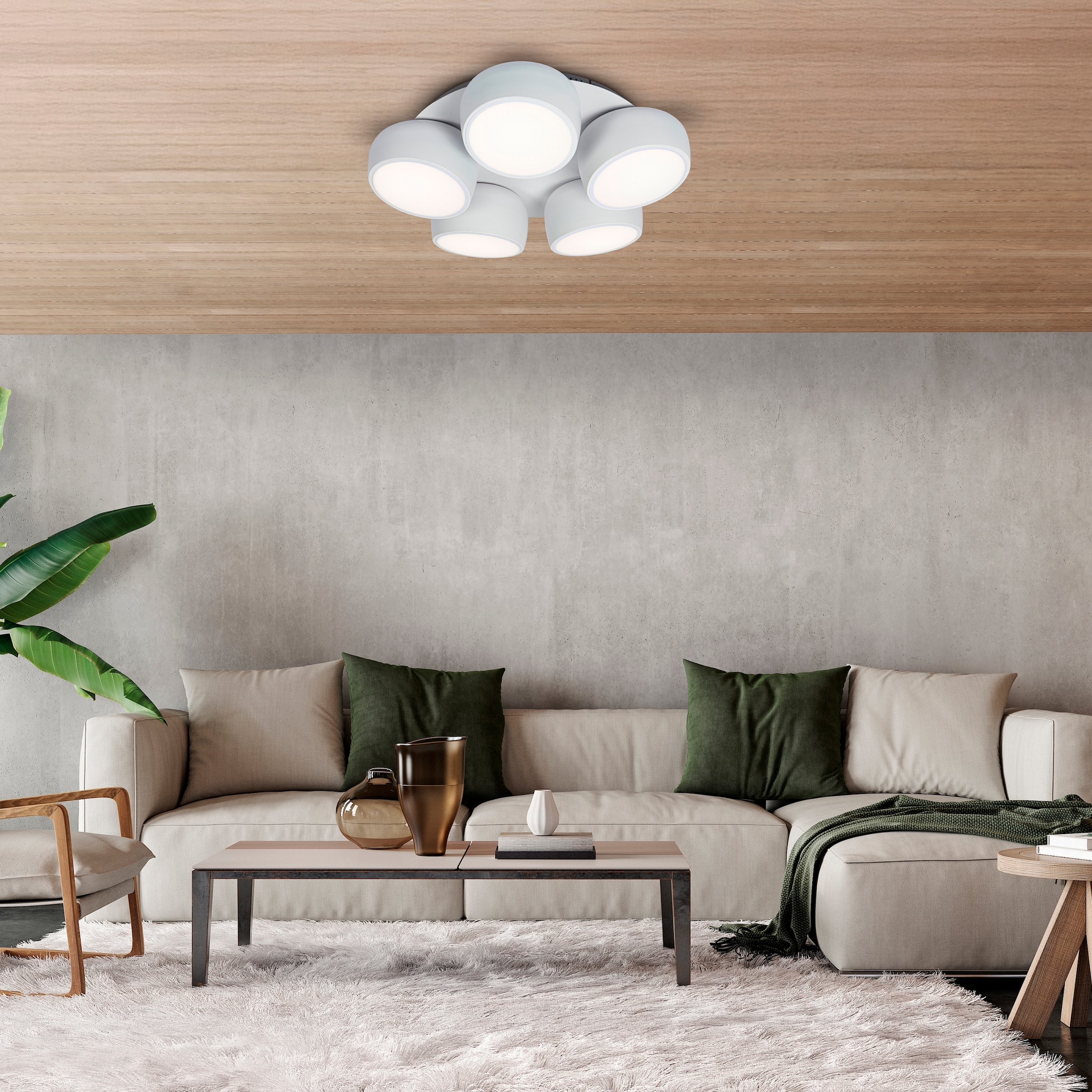 näve LED Deckenleuchte »Eliora« LED-Modul 1 Stk. warmweiß - kaltweiß LED, dimmbar, CCT, Memory, Nachtlicht, Funkfernbedienung, weiß