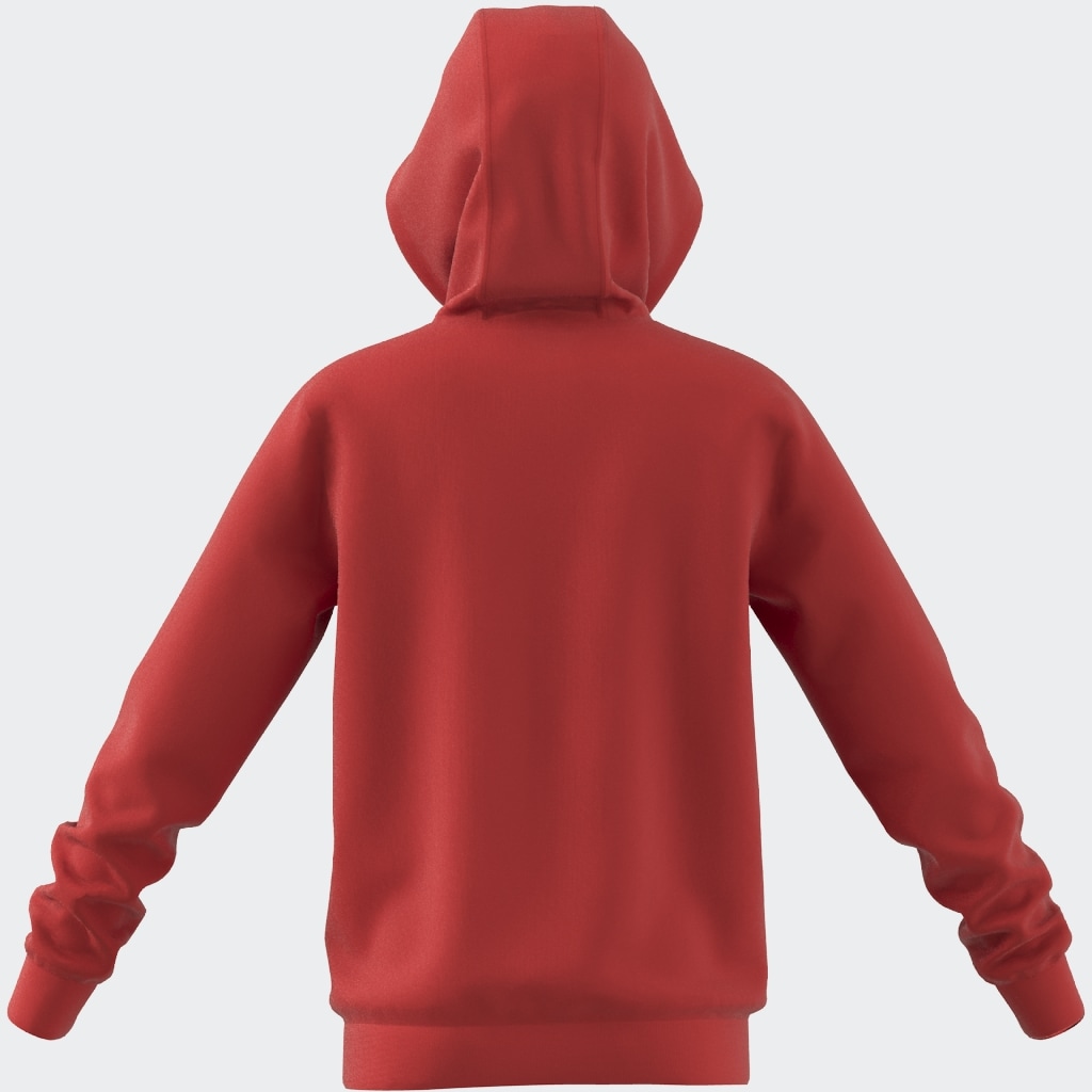 adidas Sportswear Kapuzensweatshirt »BIG LOGO ESSENTIALS COTTON HOODIE«