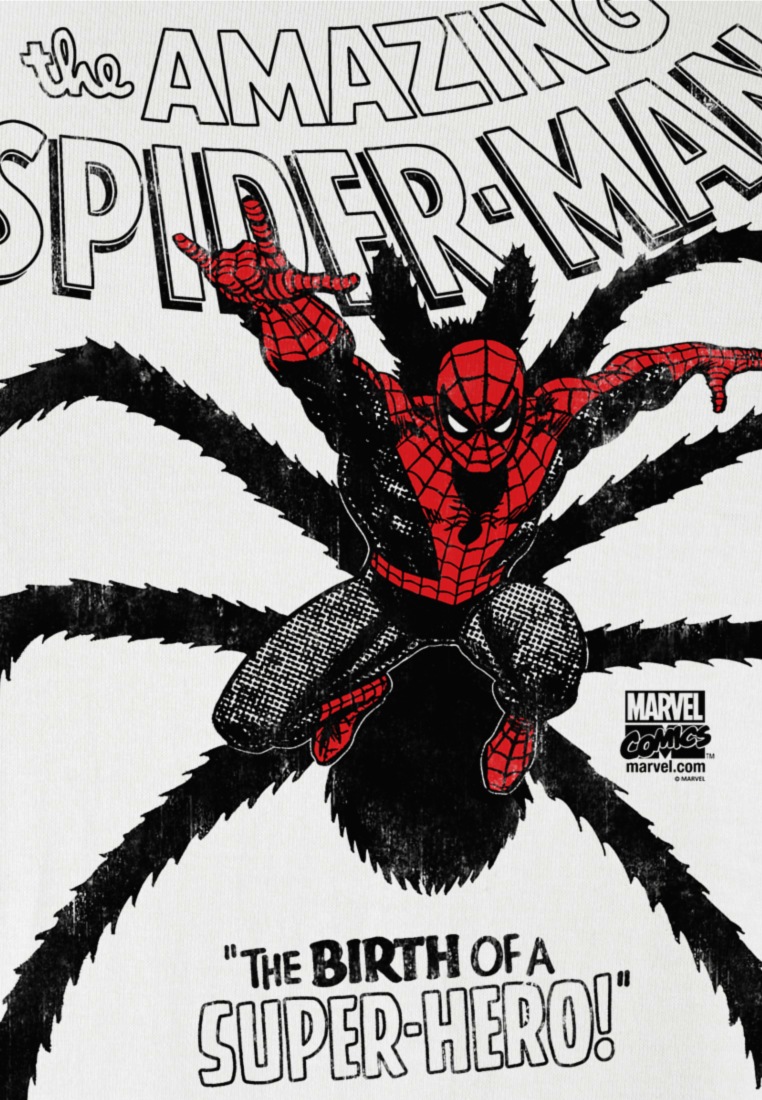 LOGOSHIRT T-Shirt »Spider-Man«, mit coolem Superhelden-Frontdruck