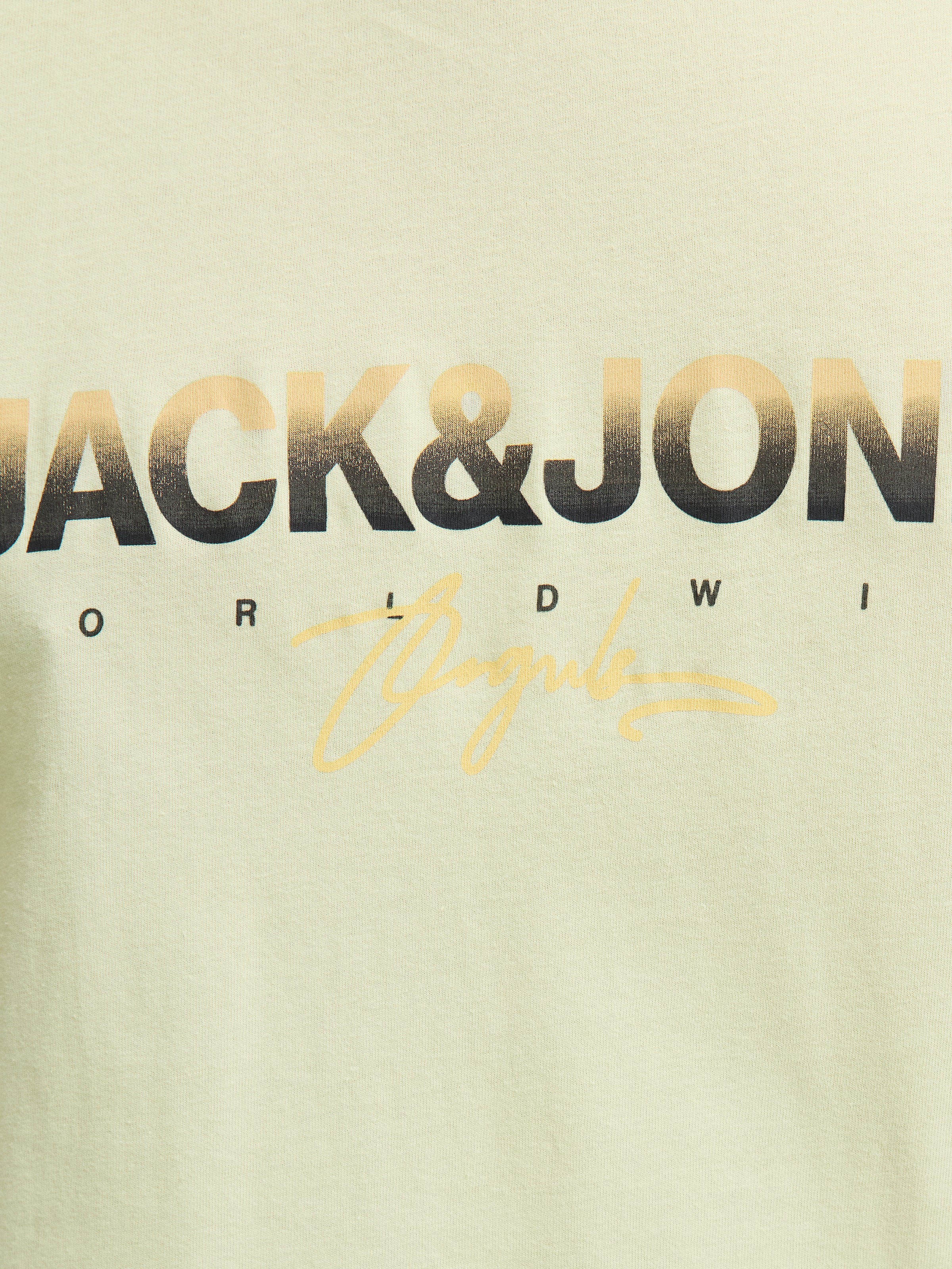 Jack & Jones PlusSize Print-Shirt »JORCANGGU TEE SS CREW NECK FST PLS«, mit Logo Print