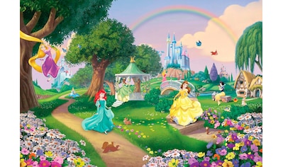 Fototapete »Disney Princess Rainbow«