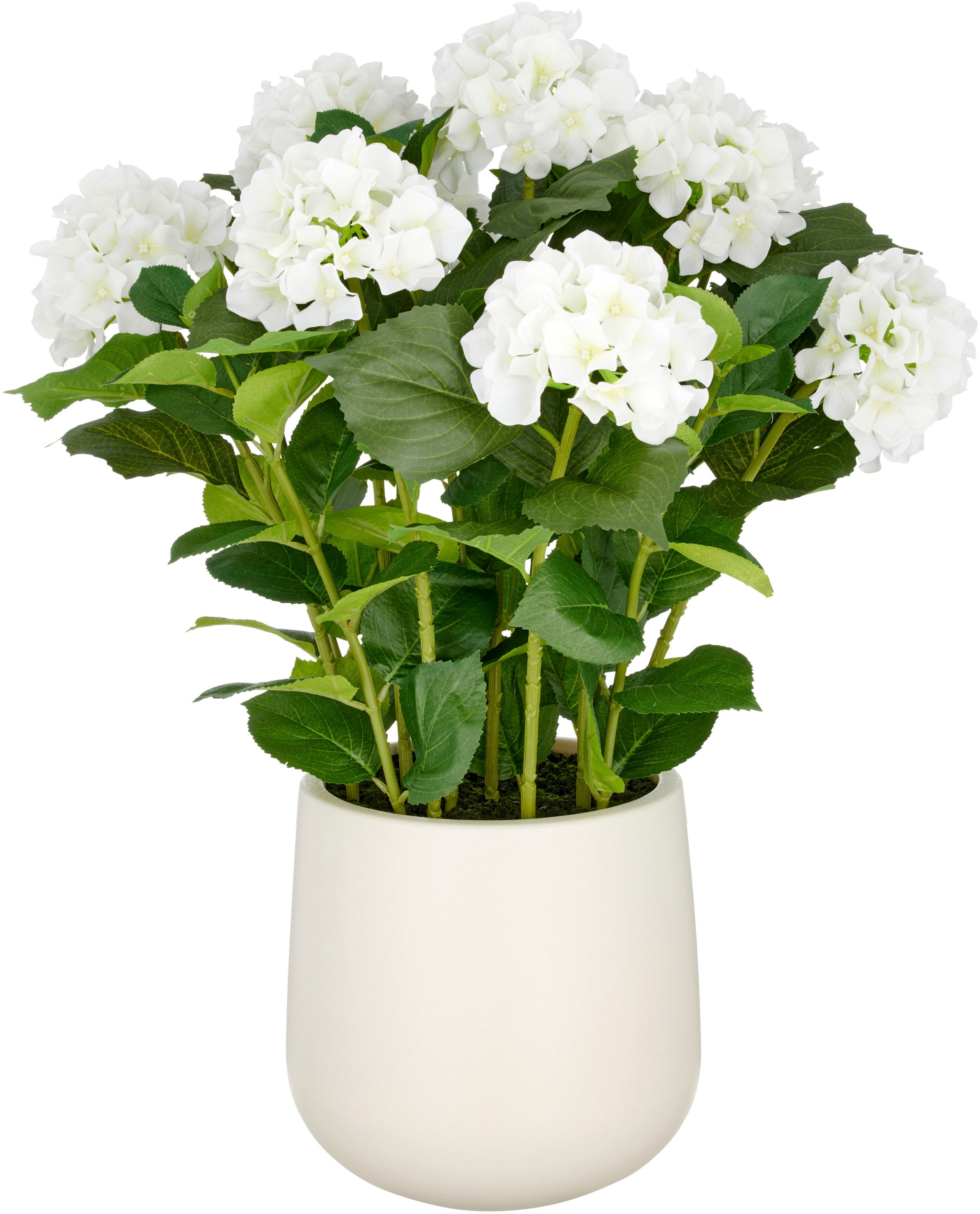 Creativ green Kunstpflanze "Hortensie", im eleganten Topf günstig online kaufen