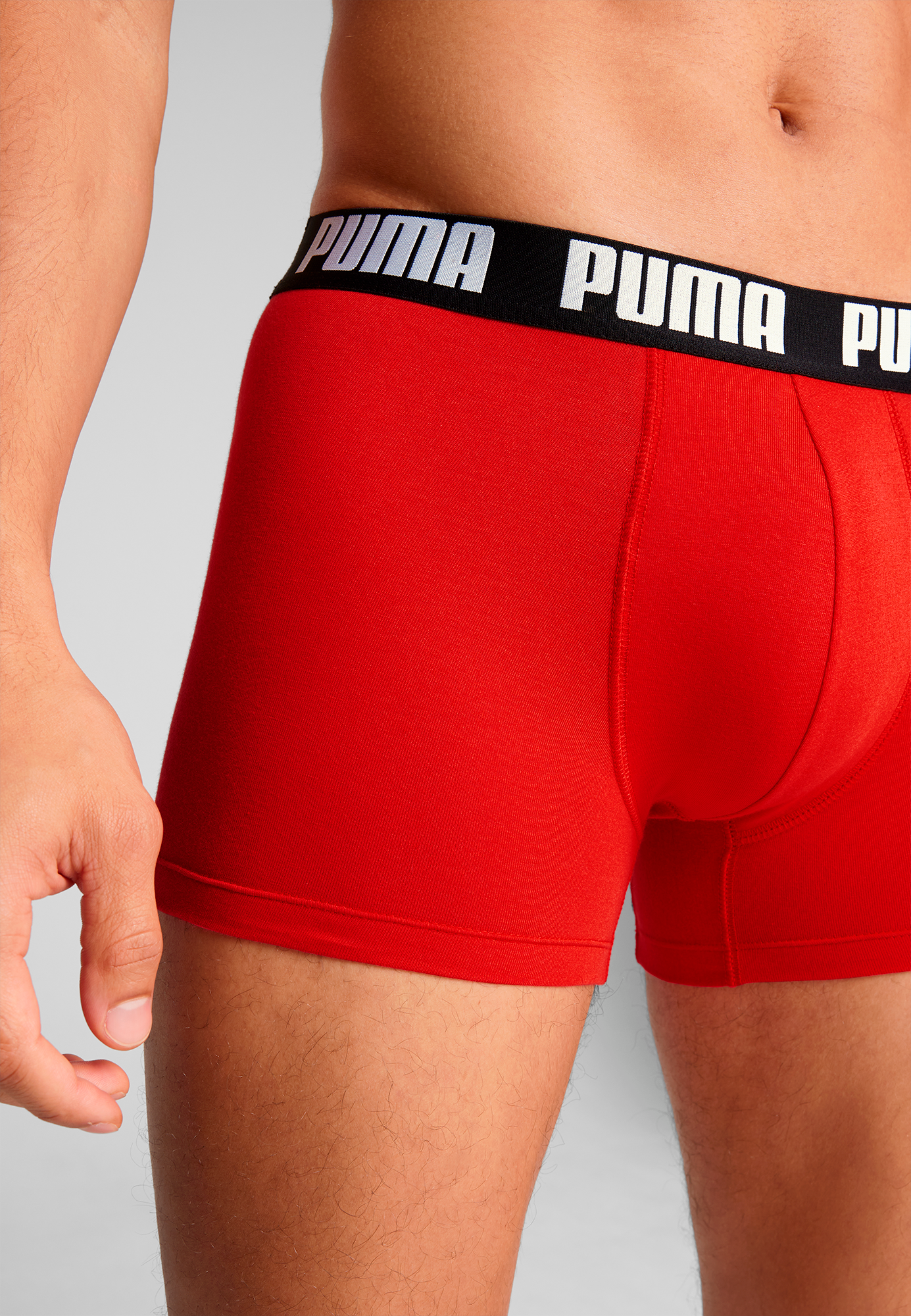PUMA Boxershorts »PUMA MEN EVERYDAY BASIC BOXERS 2P«, (2er Pack), mit Logobund