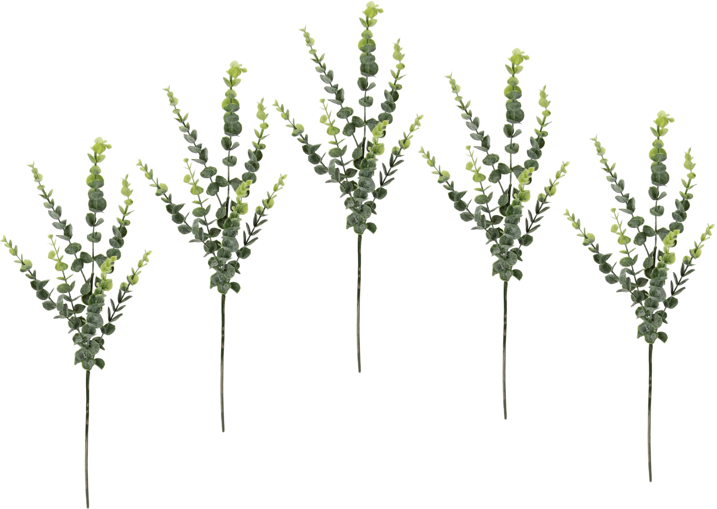 I.GE.A. Kunstzweig "Eukalyptus", 5er Set, künstlicher Blattzweig günstig online kaufen