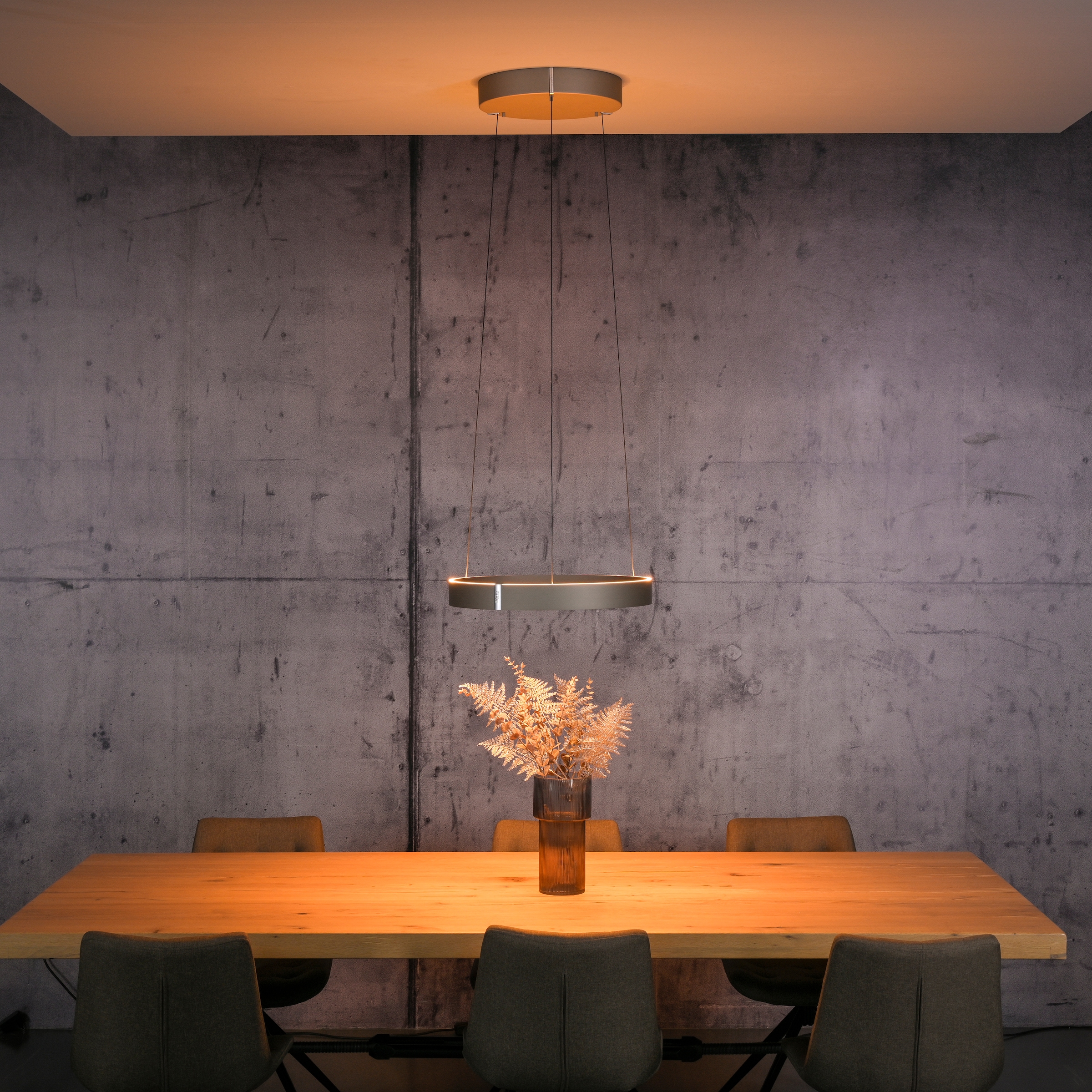 Neuhaus PURE LED Pendelleuchte »PURE E-Clipse« LED-Board 1 Stk. warmweiß - kaltweiß e-LIFT®-Funktion, CCT, dimmbar über Fernbedíenung