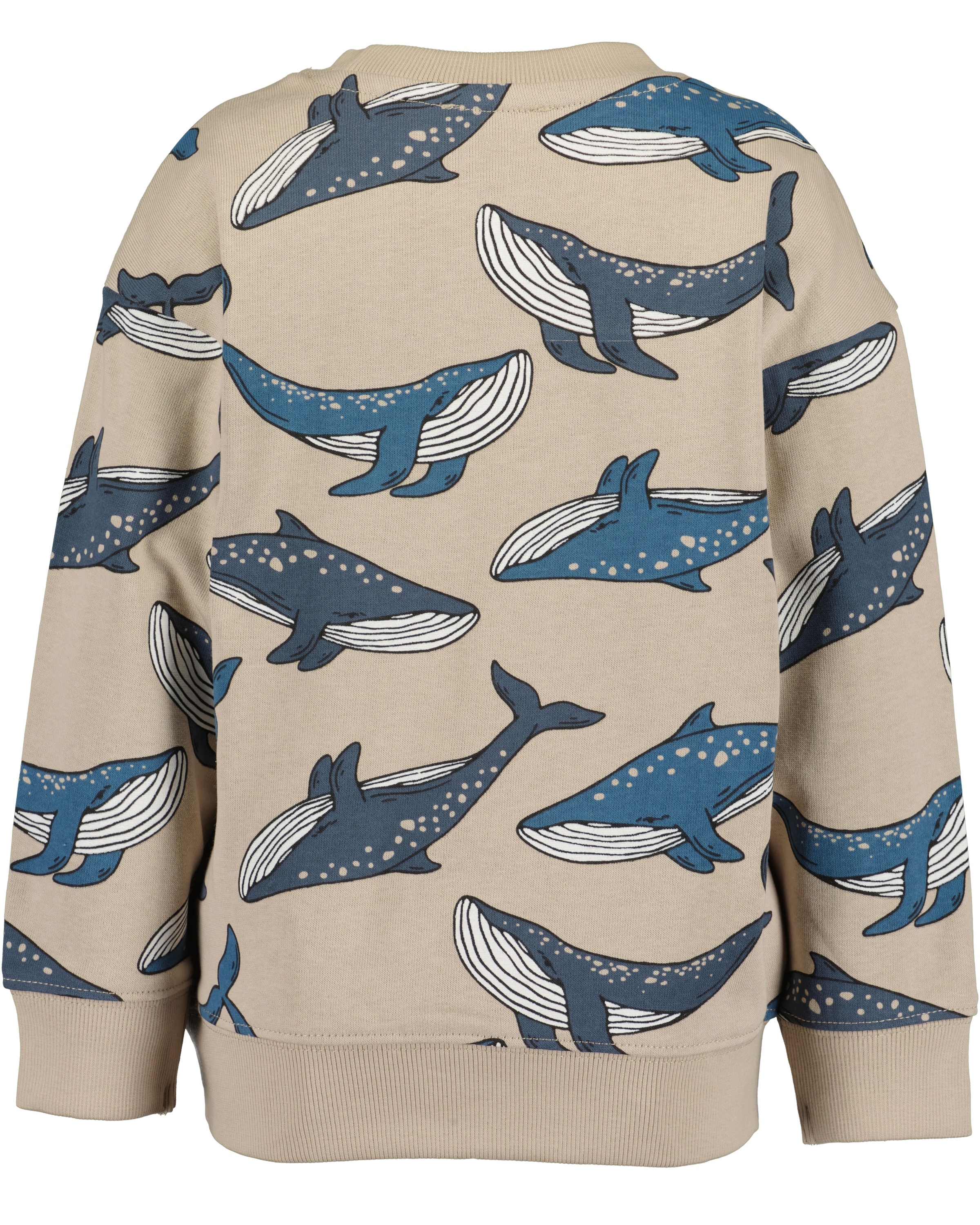 Blue Seven Sweater »Blue Seven Sweatshirt«