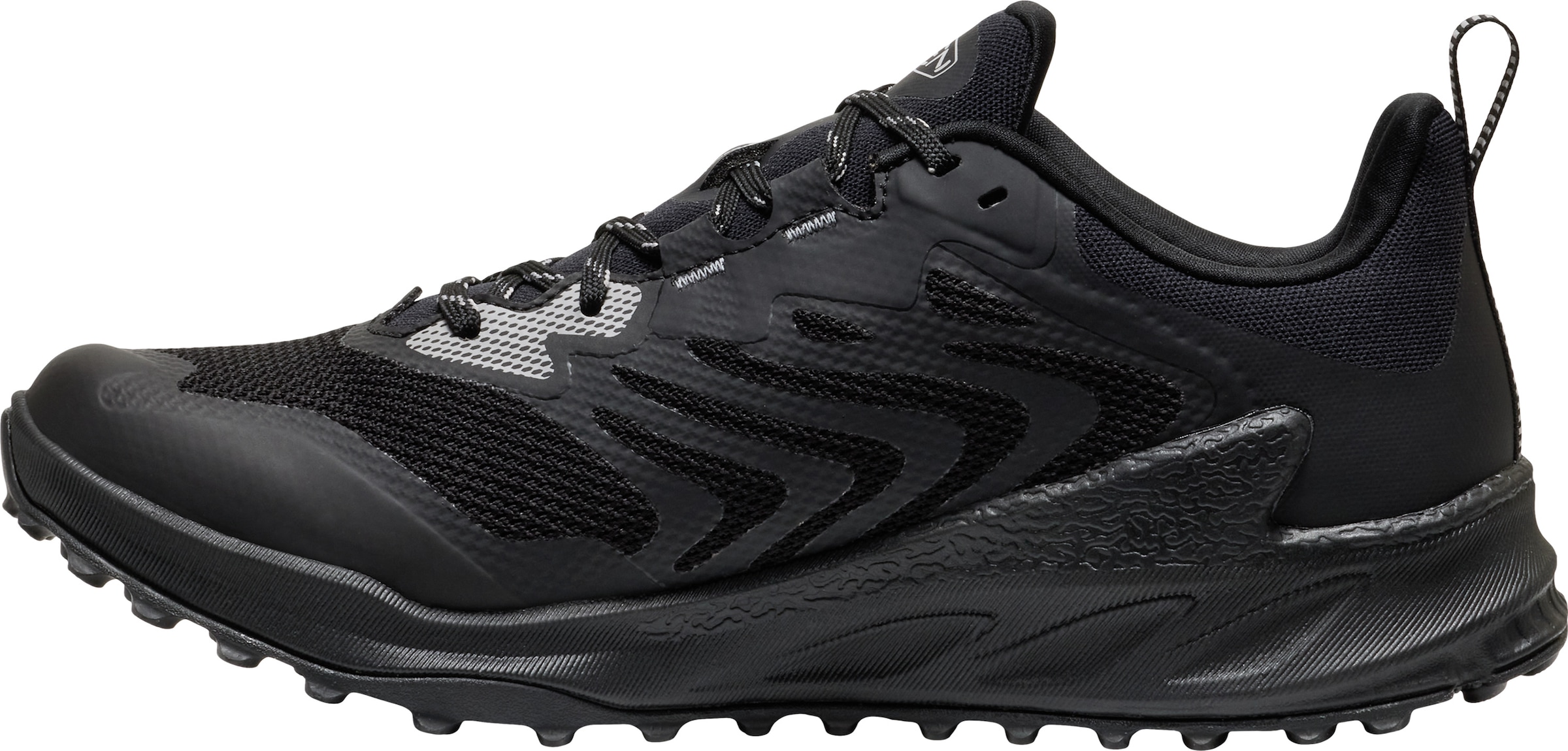 Keen Outdoorschuh »ZIONIC NXT WP«  wasserdicht