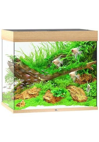 JUWEL AQUARIEN Akvariumas »Lido 200 LED« BxTxH: 71x51...