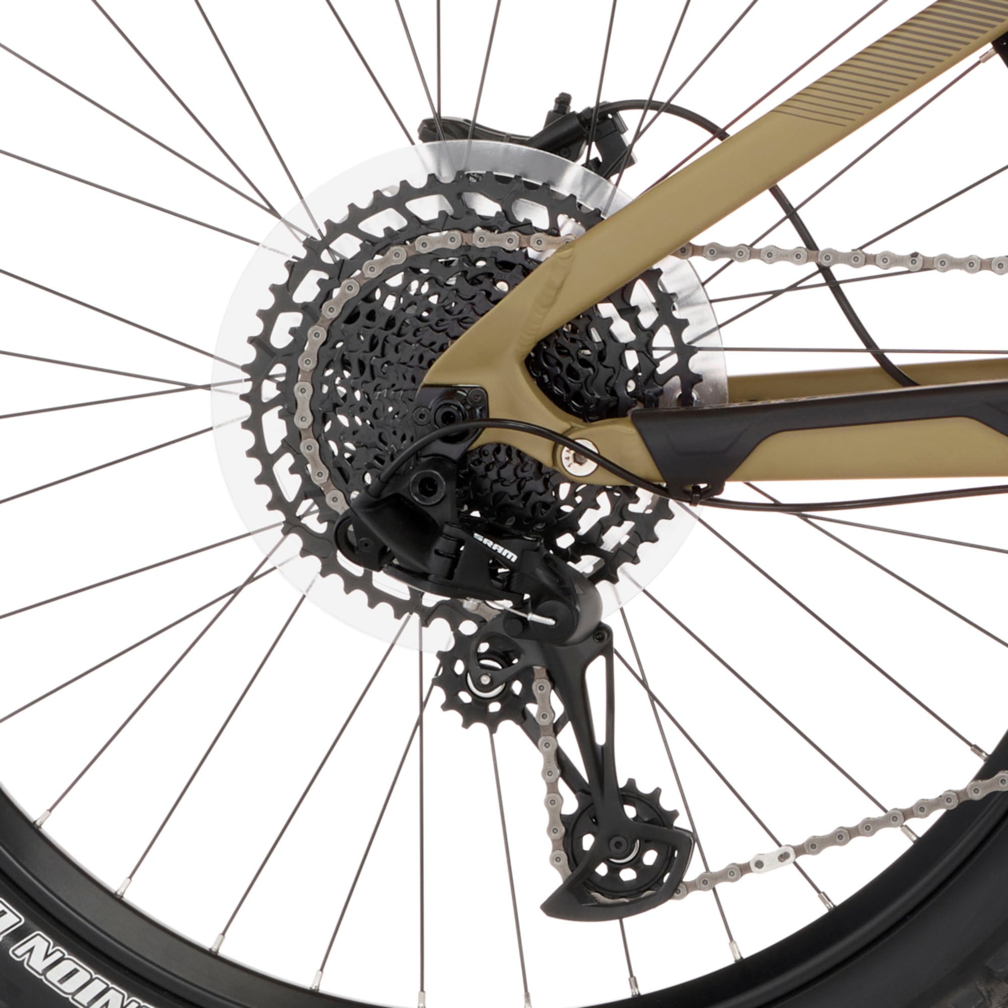 FISCHER Fahrrad E-Bike, 12 Gang, SRAM, SX 11-50 Kettenschaltung, (mit Akku-Ladegerät-mit Werkzeug)