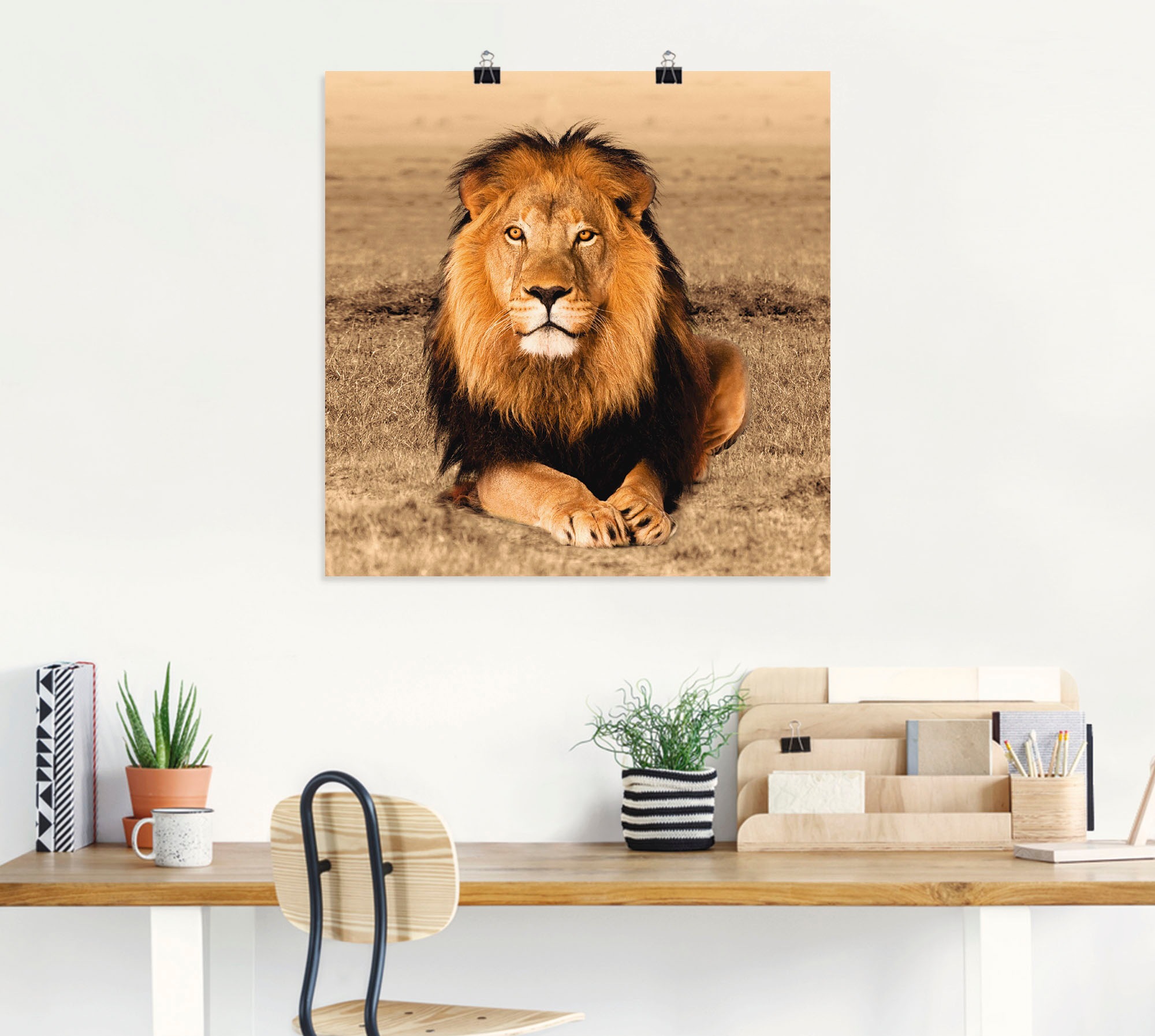 Artland Wandbild »Löwe«, Wildtiere, (1 St.), als Alubild, Outdoorbild, Leinwandbild, Poster, Wandaufkleber