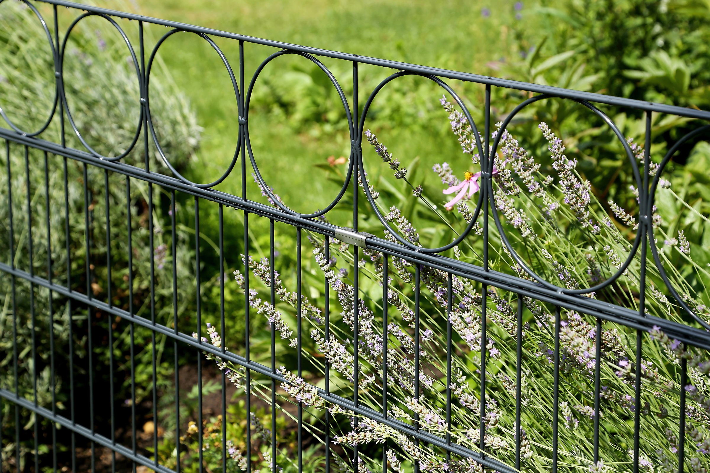 Alberts Doppelstabmattenzaun »Oslo« anthrazit, Höhe: 100-160cm, Gesamtlänge: 10-20m, zum Einbetonieren