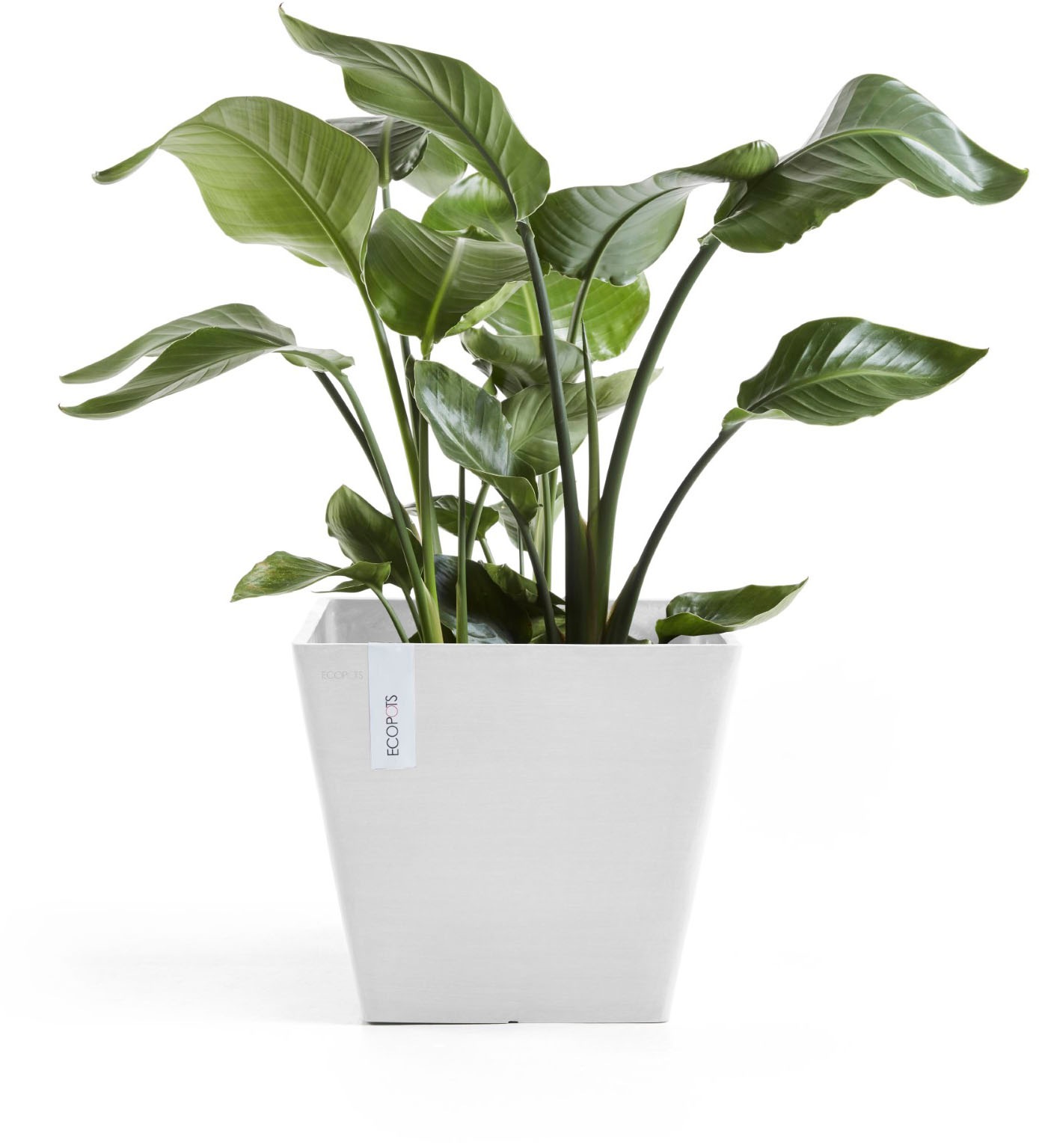 ECOPOTS Blumentopf »Rotterdam 30 Weiß« für innen und außen: frostsicher, bruchsicher und lichtbeständig