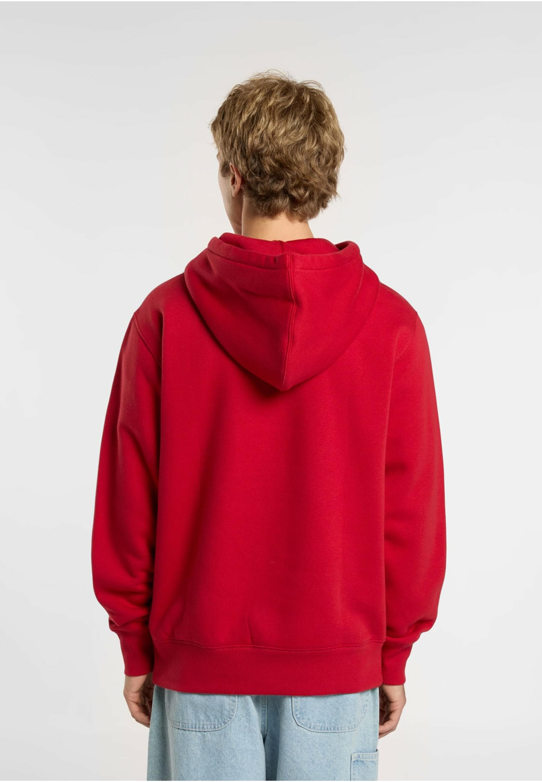 Dickies Kapuzensweatshirt »Dickies Workwear Dickies Summerdale Hoodie«, (1 tlg.)