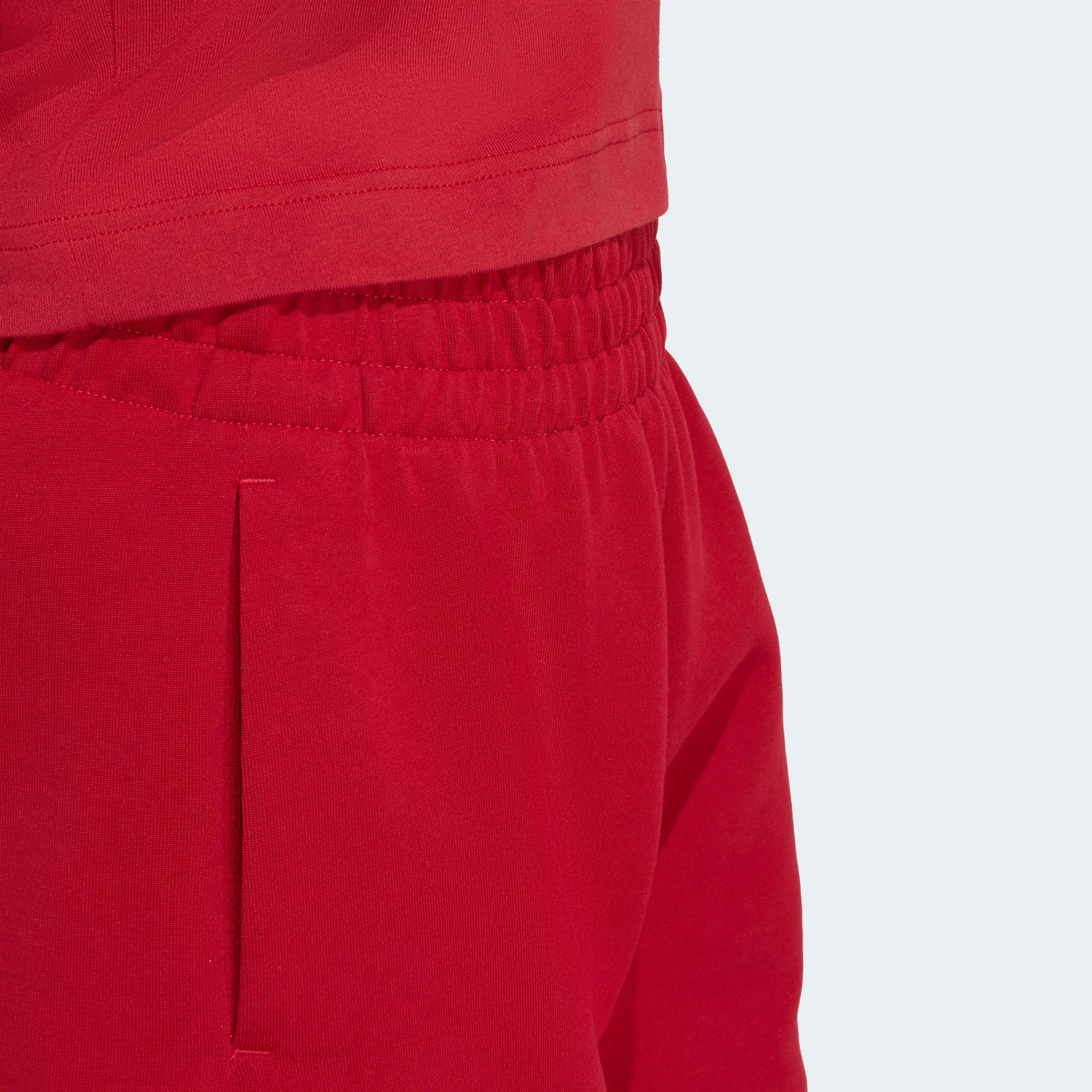 adidas Sportswear Shorts »FUTURE ICONS SMALL LOGO«