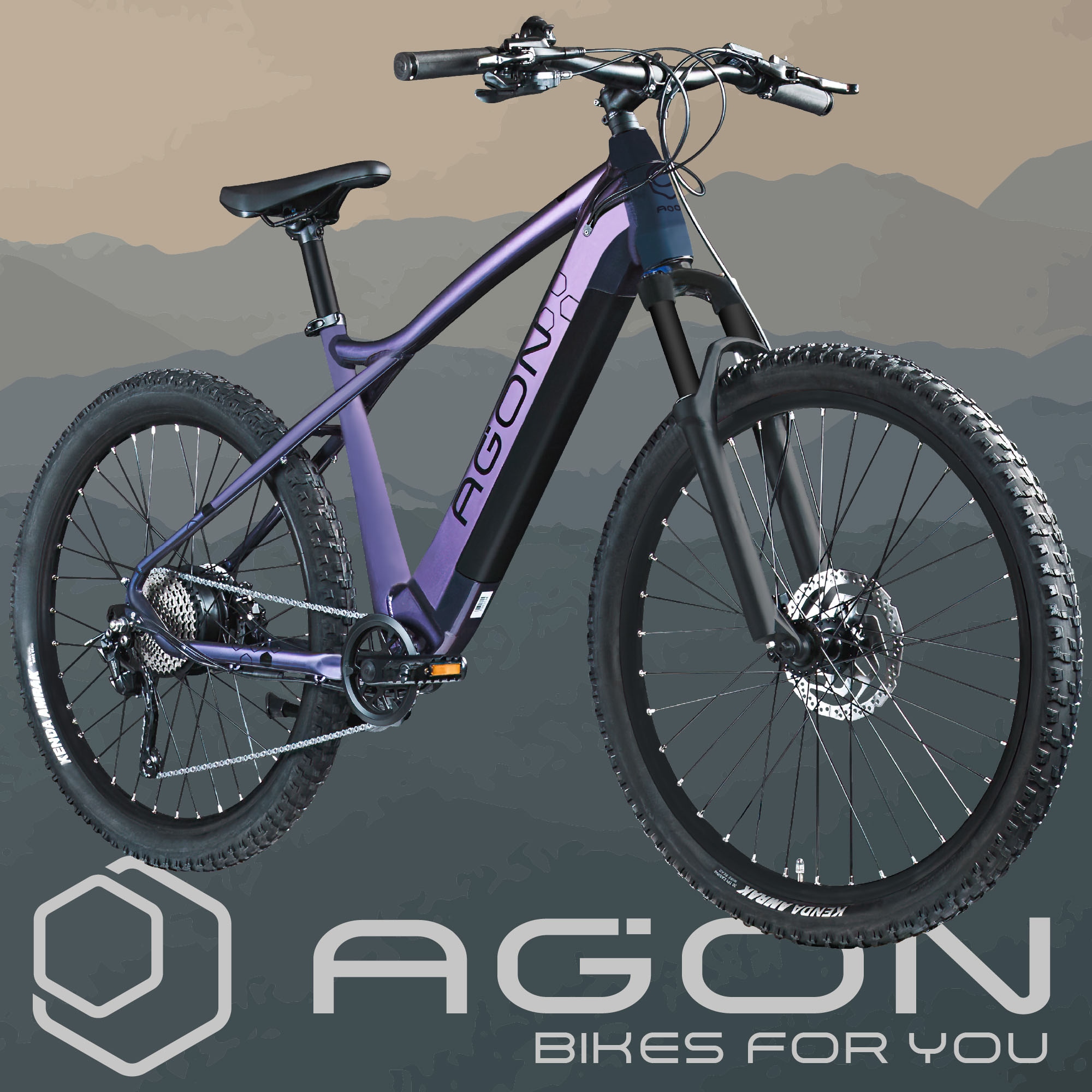 AGON E-Bike »Alpha«, 10 Gang, Deore SGS T6000, Heckmotor 250 W, Pedelec, Elektrofahrrad für Damen u. Herren, MTB