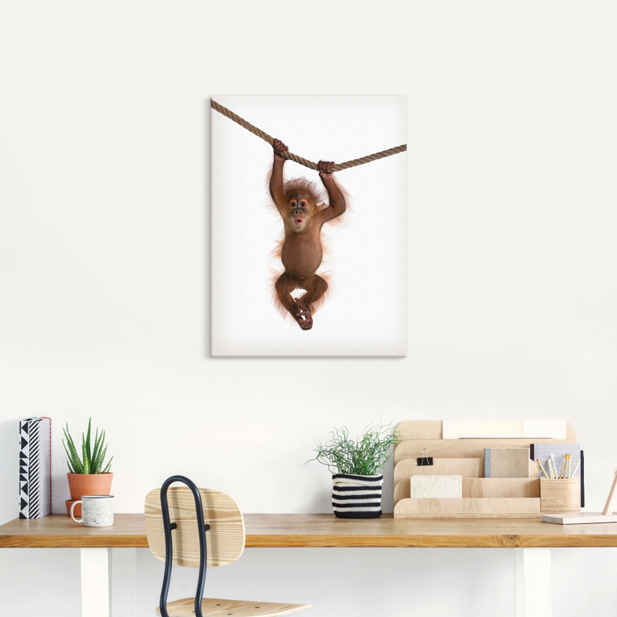 Thumbnail - Artland Wandbild "Baby Orang Utan hängt an Seil II", Wildtiere, (1 St.), als Alubild, Outdoorbild, Leinwandbild, Poster,...