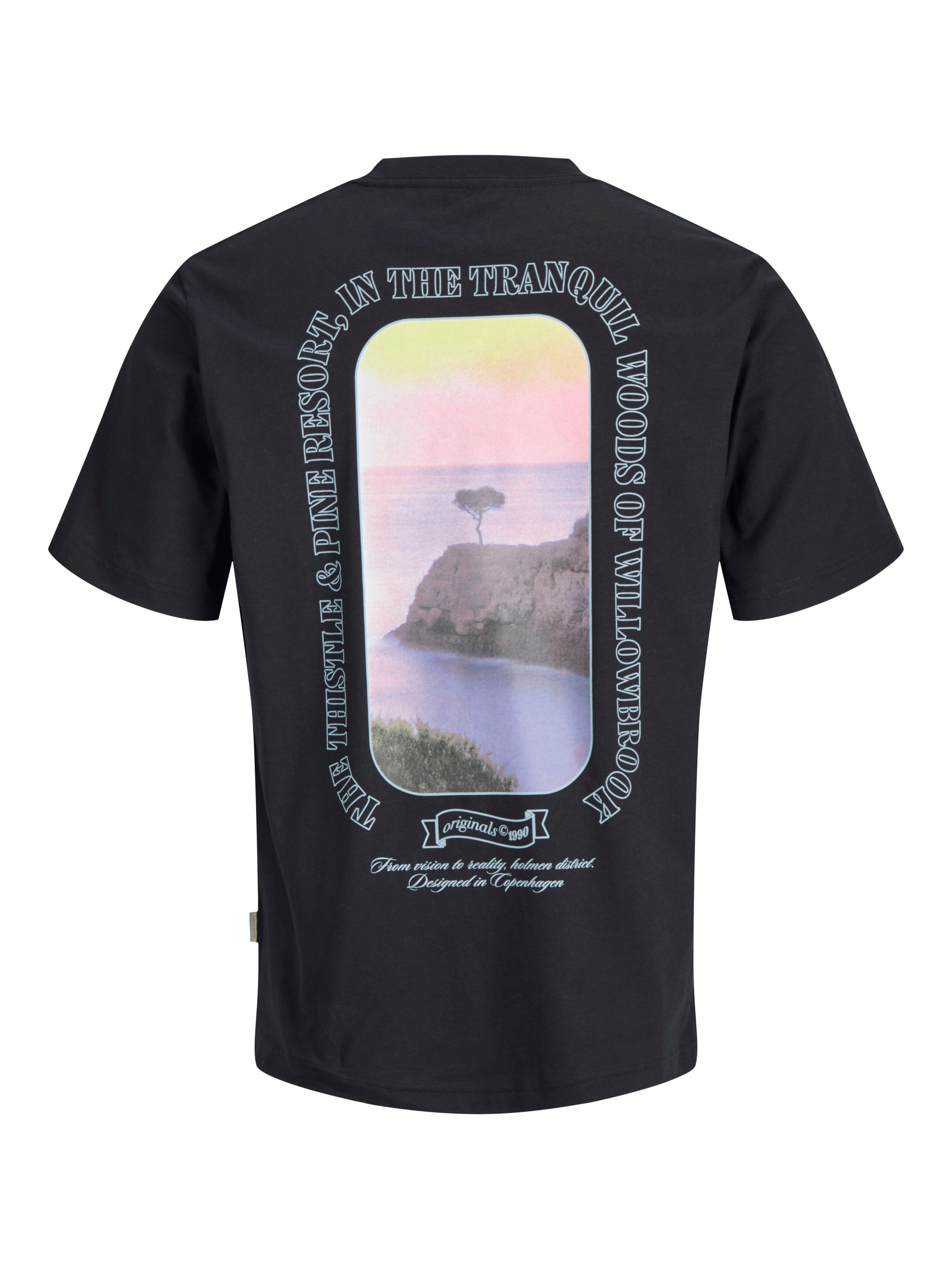 Jack & Jones T-Shirt »JORMONTAUK PHOTO BACK TEE SS CN«