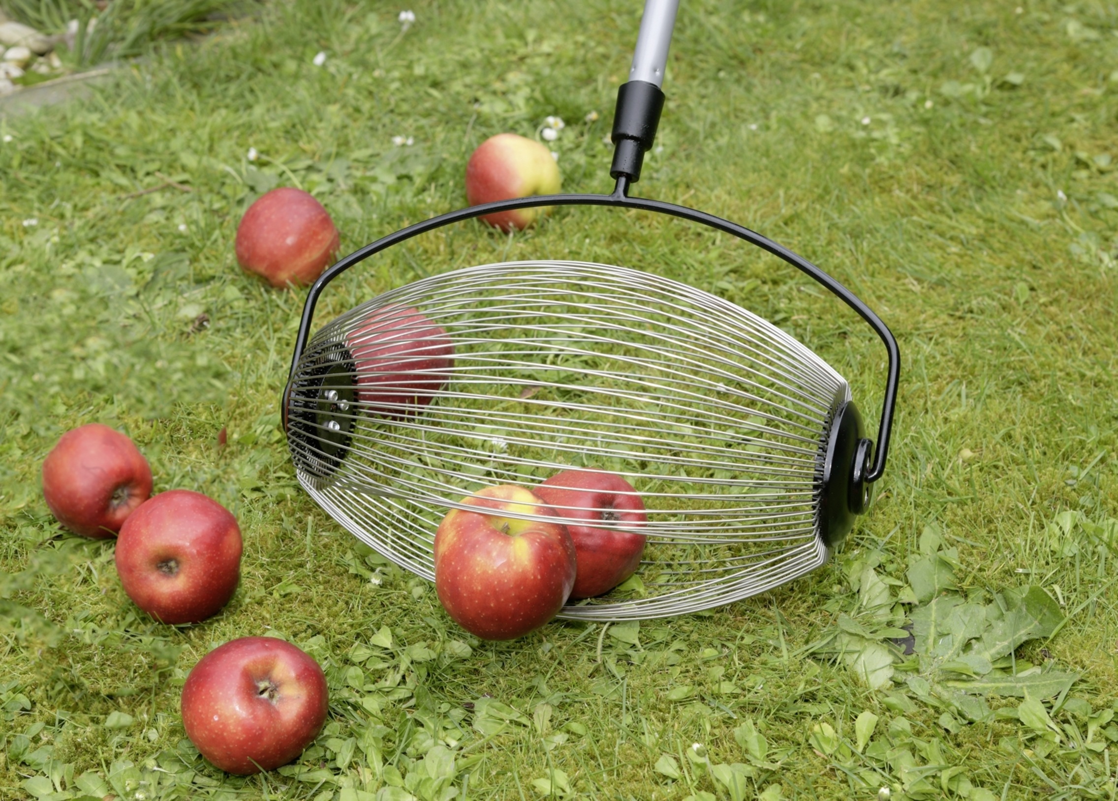 Maximex Rollsammler »mit Teleskopstiel« flexible Edelstahl-Speichen für Obst