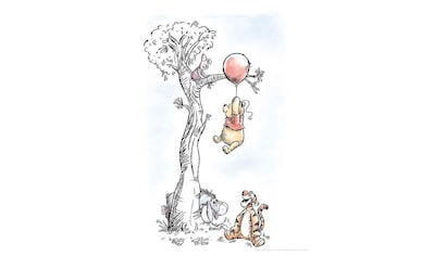 Poster »Winnie Pooh Hang on«, Disney, (1 St.)