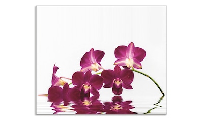 Artland Küchenrückwand »Phalaenopsis Orchidee«, (1 tlg.), selbstklebend in vielen... kaufen