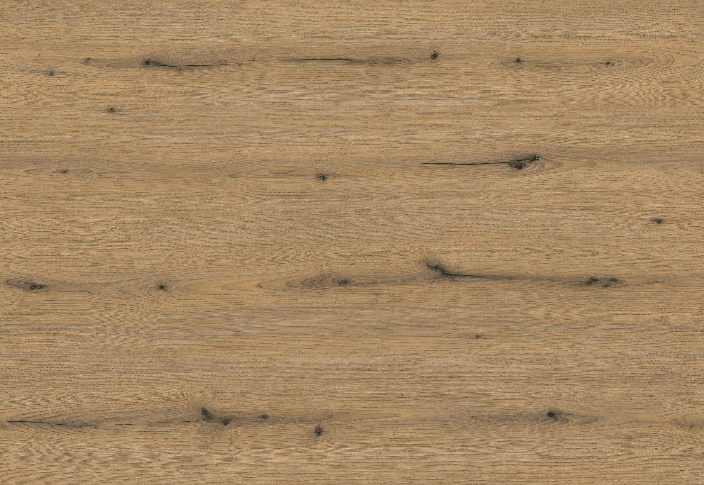 Express Küchen Vorratsschrank »ARTA« vormontiert, Breite 60 cm, Höhe 207 cm