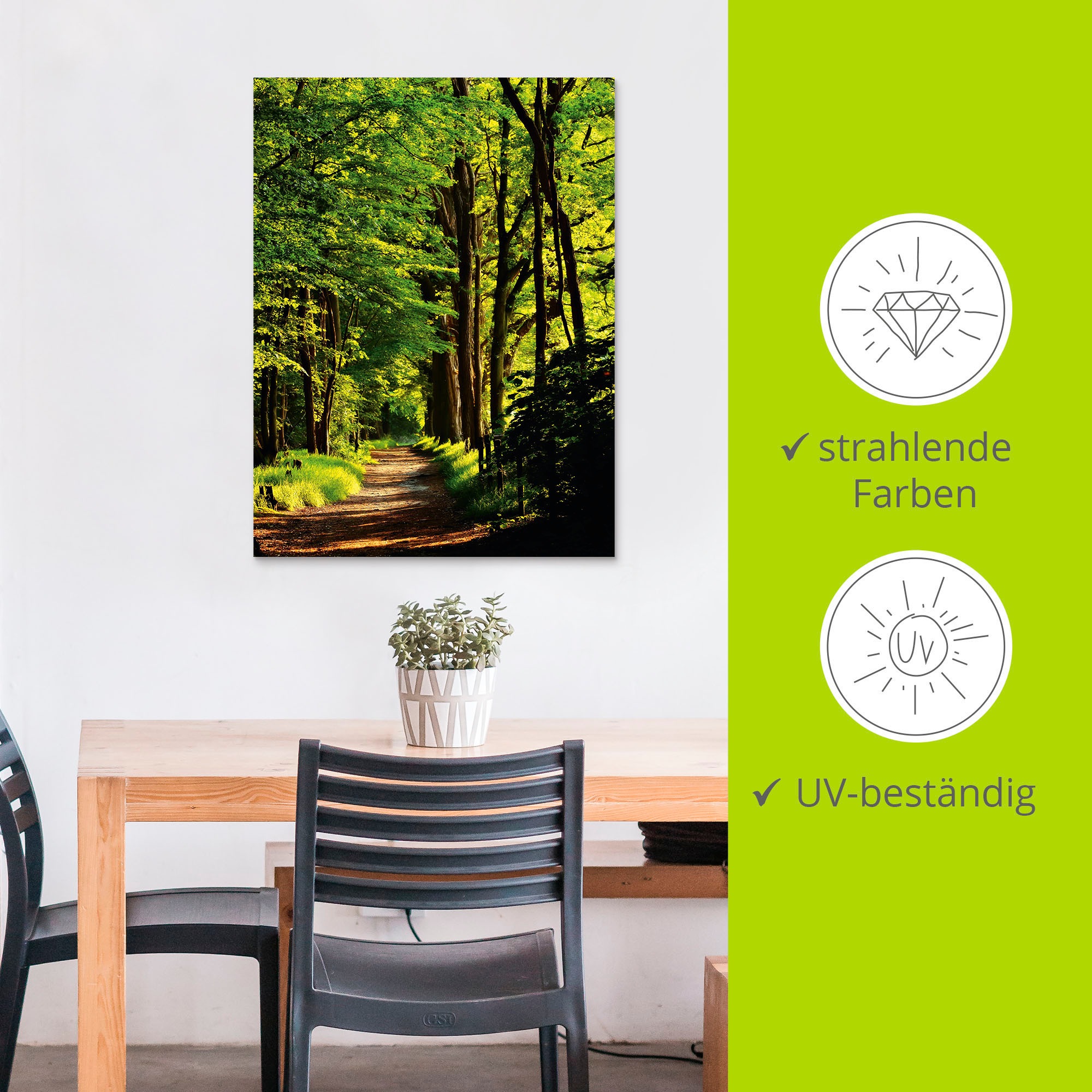 Artland Wandbild »Weg im Wald«, Wald, (1 St.), als Alubild, Outdoorbild, Leinwandbild, Poster in verschied. Größen
