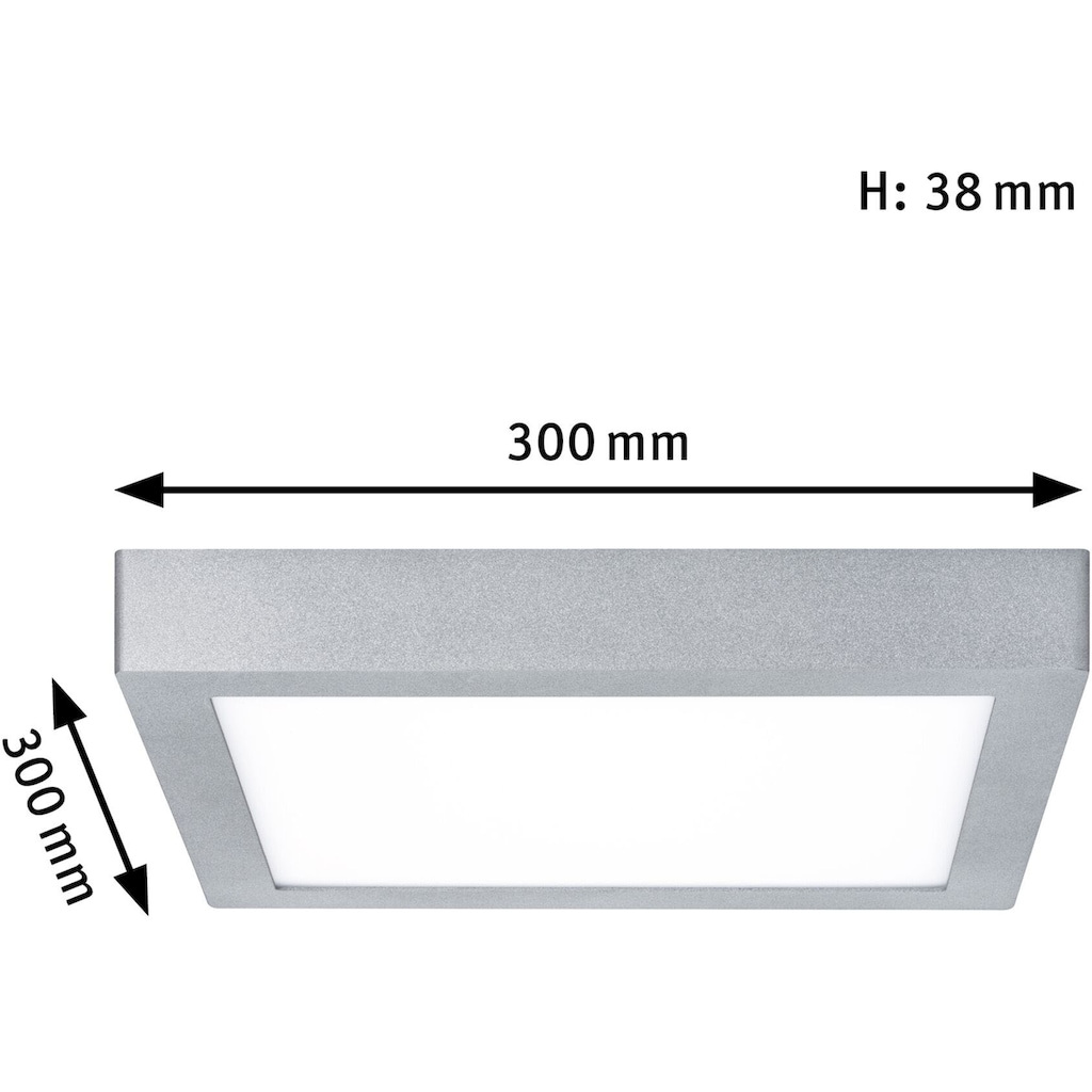 Paulmann LED Deckenleuchte »Carpo«, 1 flammig-flammig