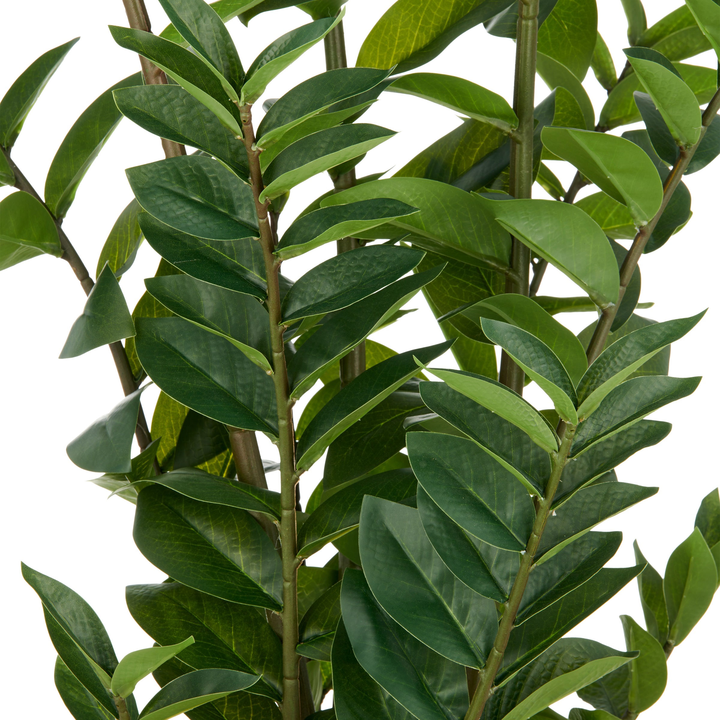Creativ green Kunstpflanze "Zamifolia", mit detailgetreuer Gestaltung günstig online kaufen
