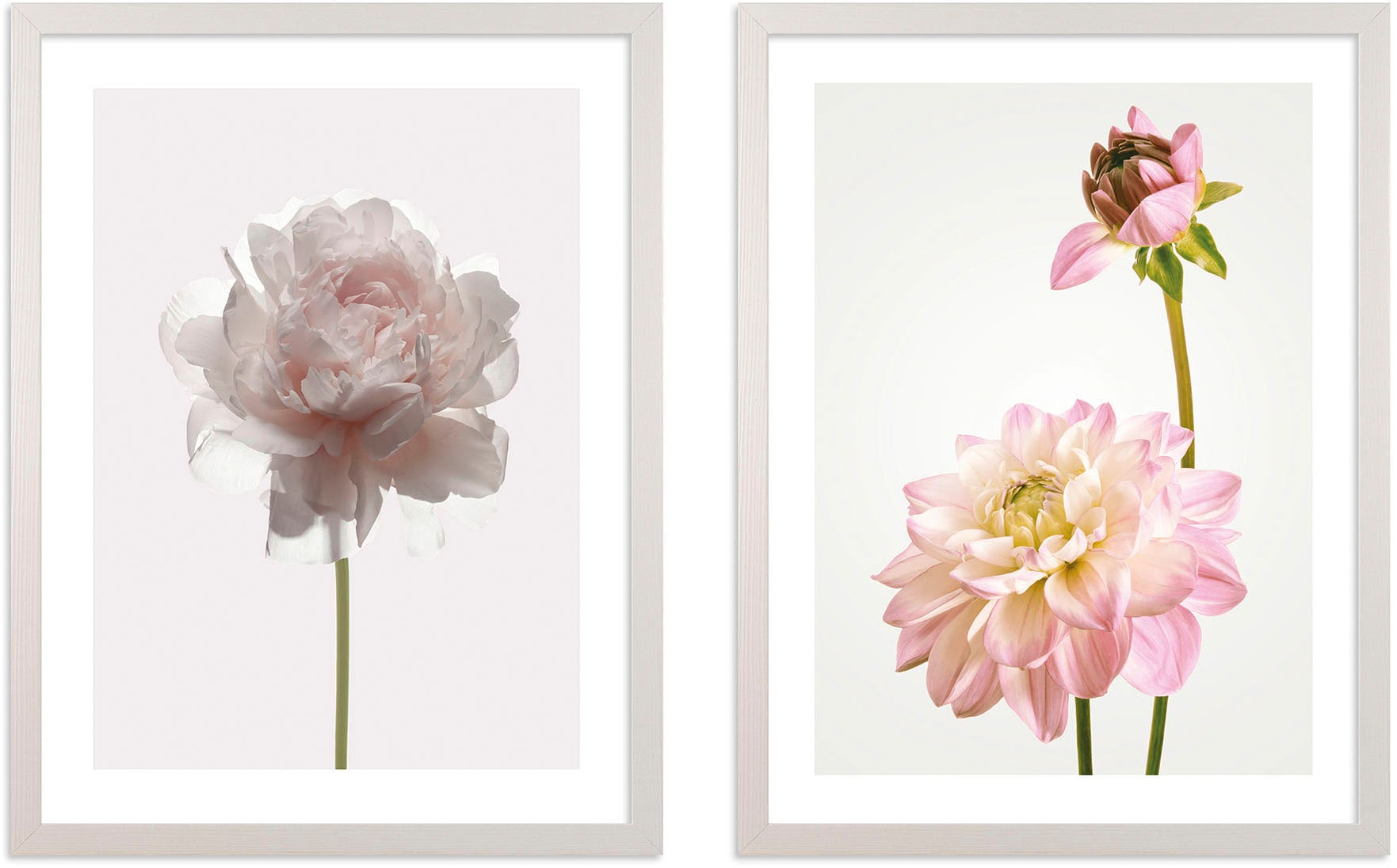 Komar Bild mit (2 maschinell »Floral | Delights«, Rahmen BAUR St.)