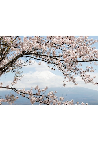 Consalnet Vliestapete »KIRSCHBLÜTEN« grafisch in...