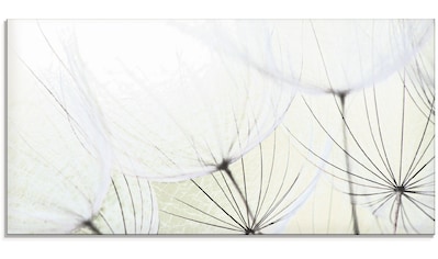 Glasbild »Pusteblumen-Samen aufgehellt«, Blumen, (1 St.)