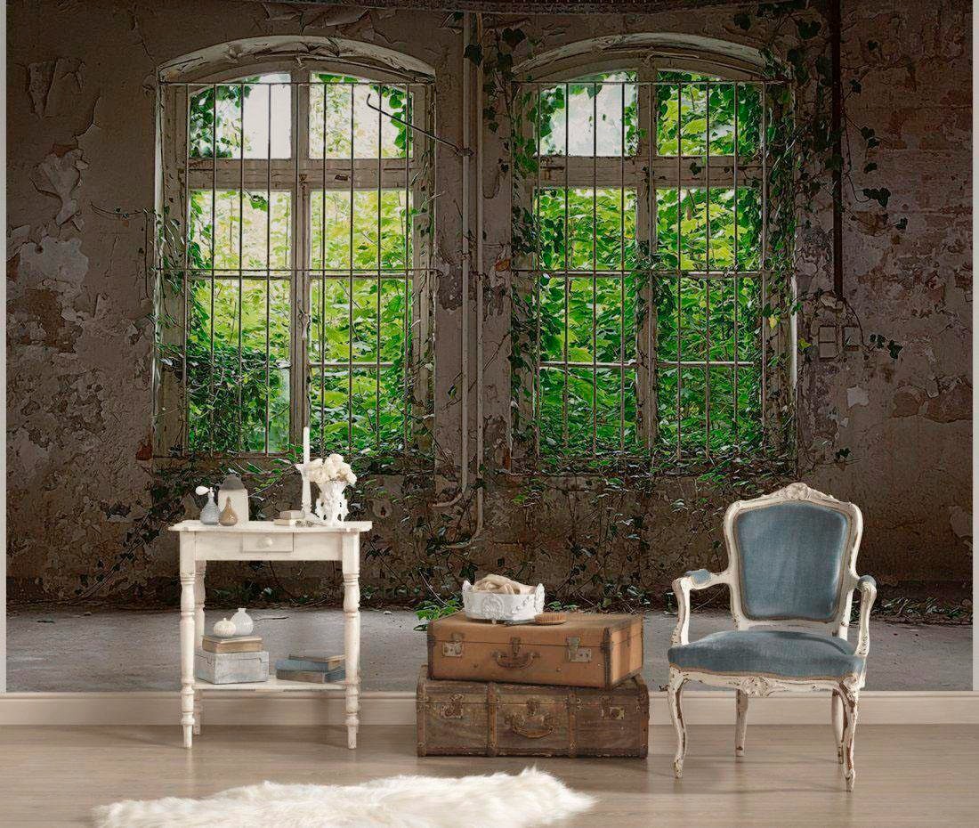 living walls Fototapete "Old Windows Vlies" glatt Fototapete Fenster mit Pflanzen Beige Grau Grün 3,50 m x 2,55 m