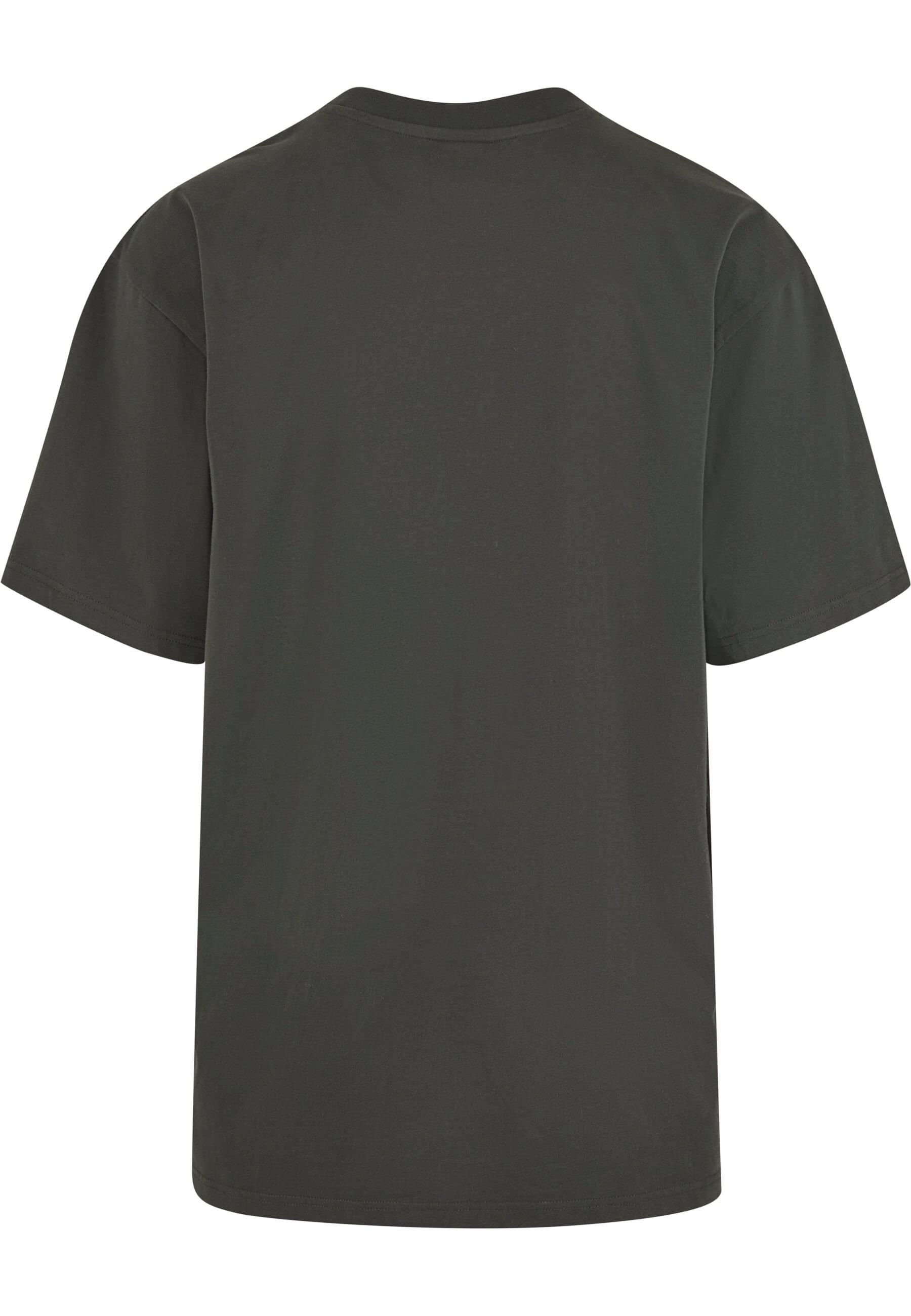 Karl Kani T-Shirt »Karl Kani KK Kani Icy Chrome Tee«, (1 tlg.)