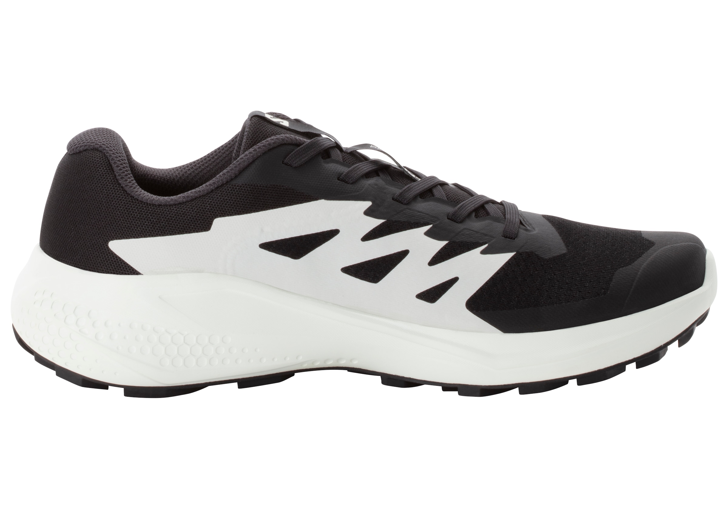 Salomon Trailrunningschuh »ALPHAGLIDE«, wasserdicht