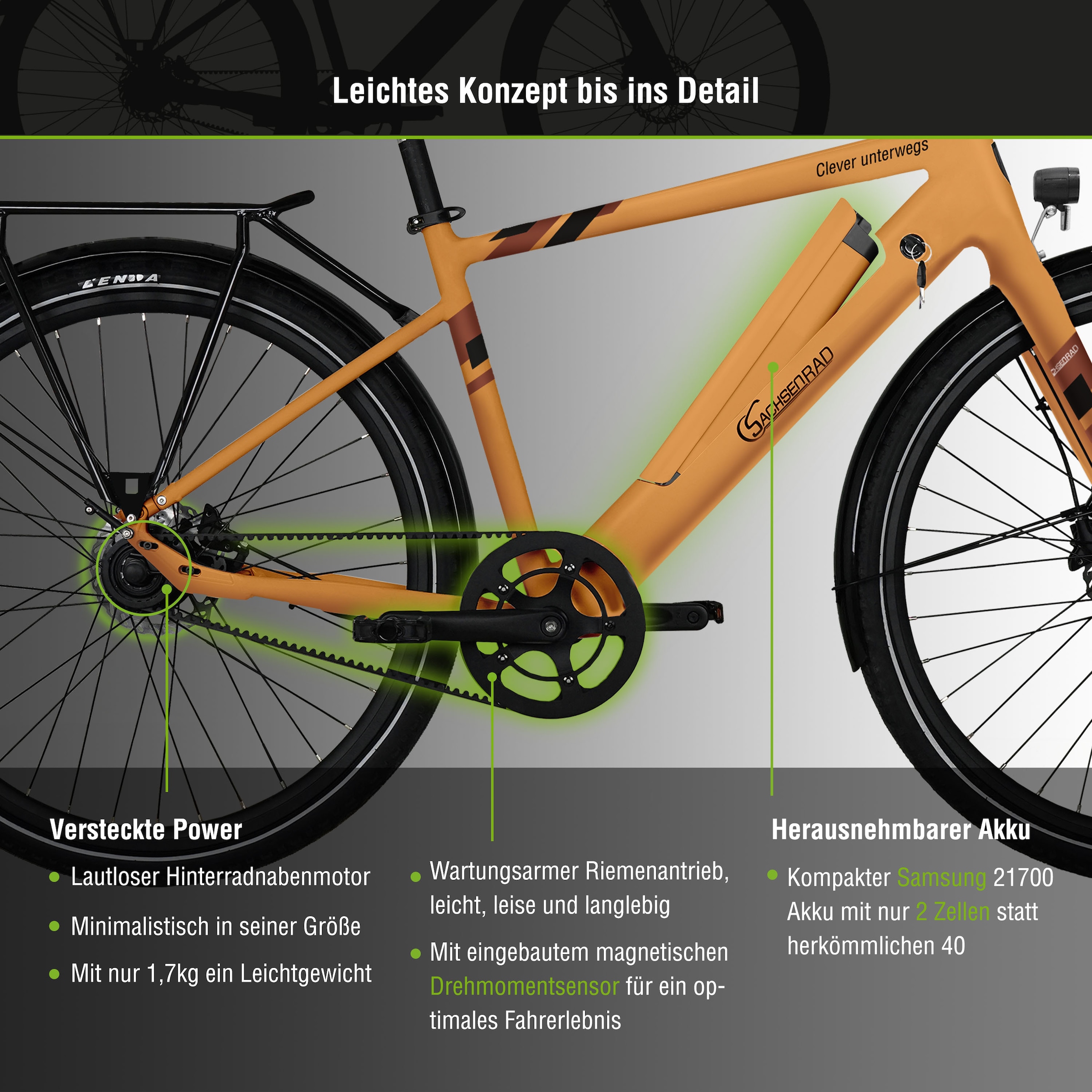 SachsenRad E-Bike »C3T«, 1 Gang, Shimano, keine, Heckmotor 250 W