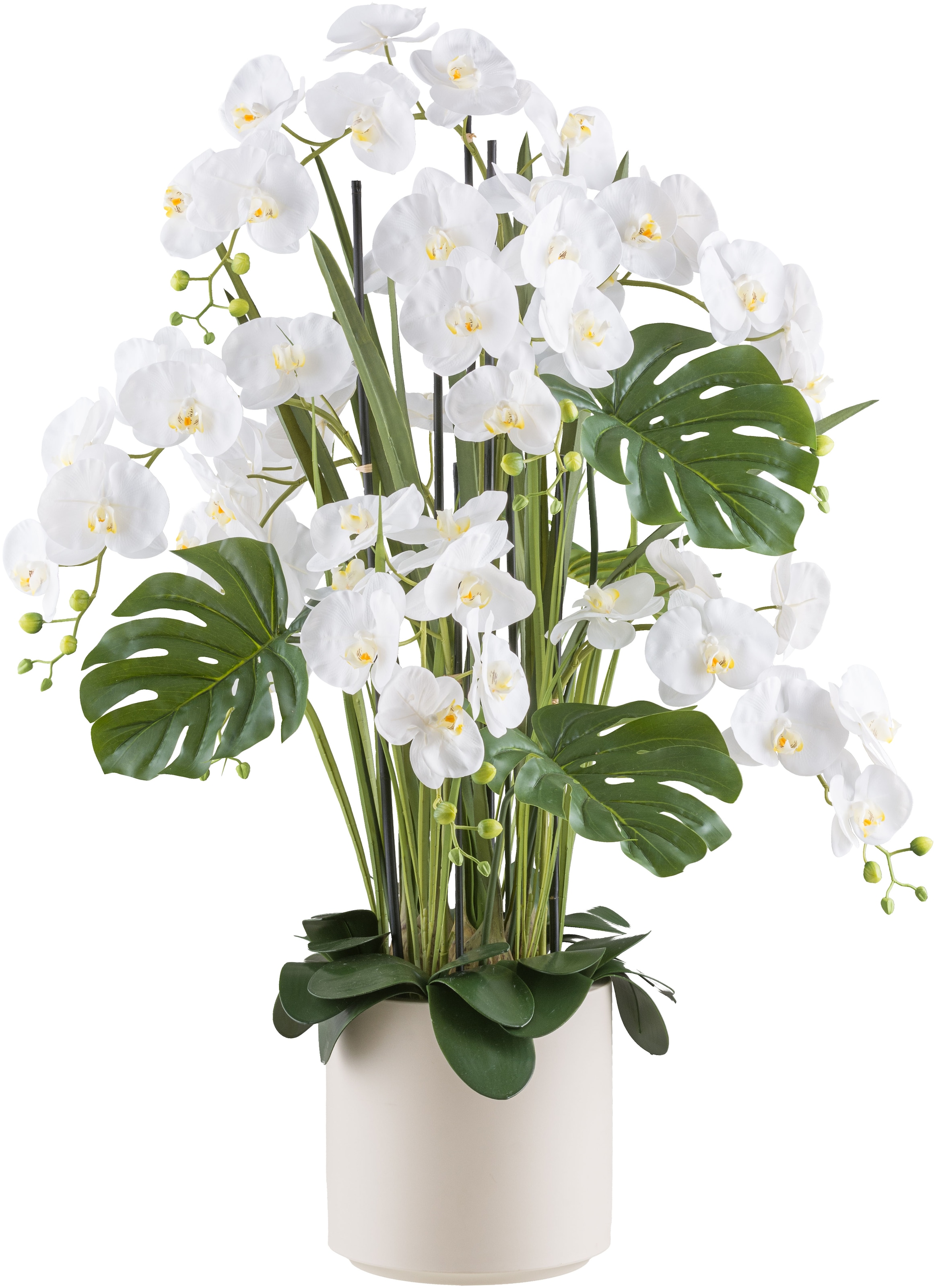 Creativ green Kunstorchidee "Orchidee Phalaenopsis", mit Gräsern und Splitphilo-Blättern